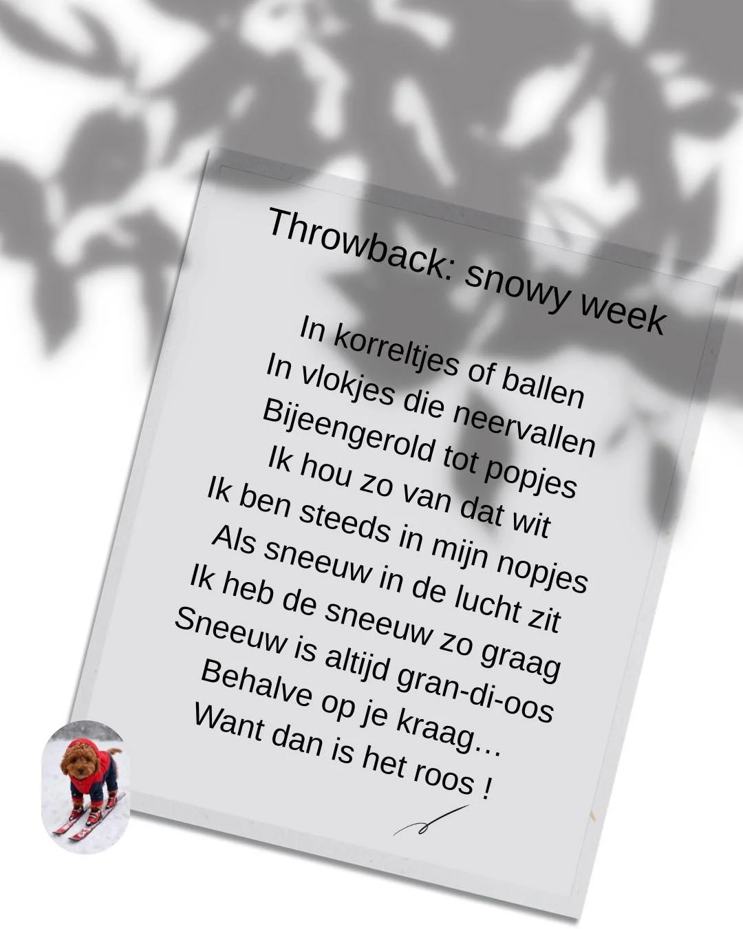 ❄️ &ldquo;Sneeuw herinnert ons eraan hoe mooi eenvoud kan zijn.&rdquo; #xantippebelgium #avedalifestylsalon #coloristbrugge #xantippecolor #kapsalonzonderafspraak #aveda #openopzondagvoormiddag #avedastylist #AvedaSalons #AvedaColorCares #AvedaPartne