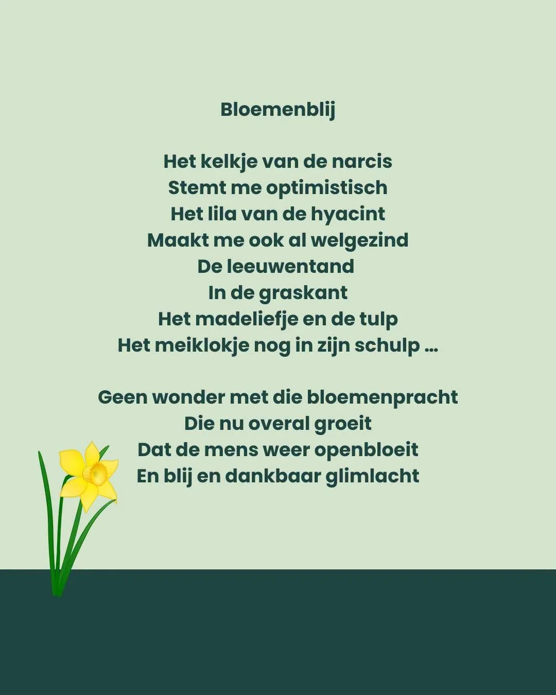 #zonderafspraak #AvedaSalons #xantippe_belgium #hairstylists #kapsalon #colorcare #HairGoals #StralendDeLenteIn #AvedaSalon #brugge #avedastylist #lente