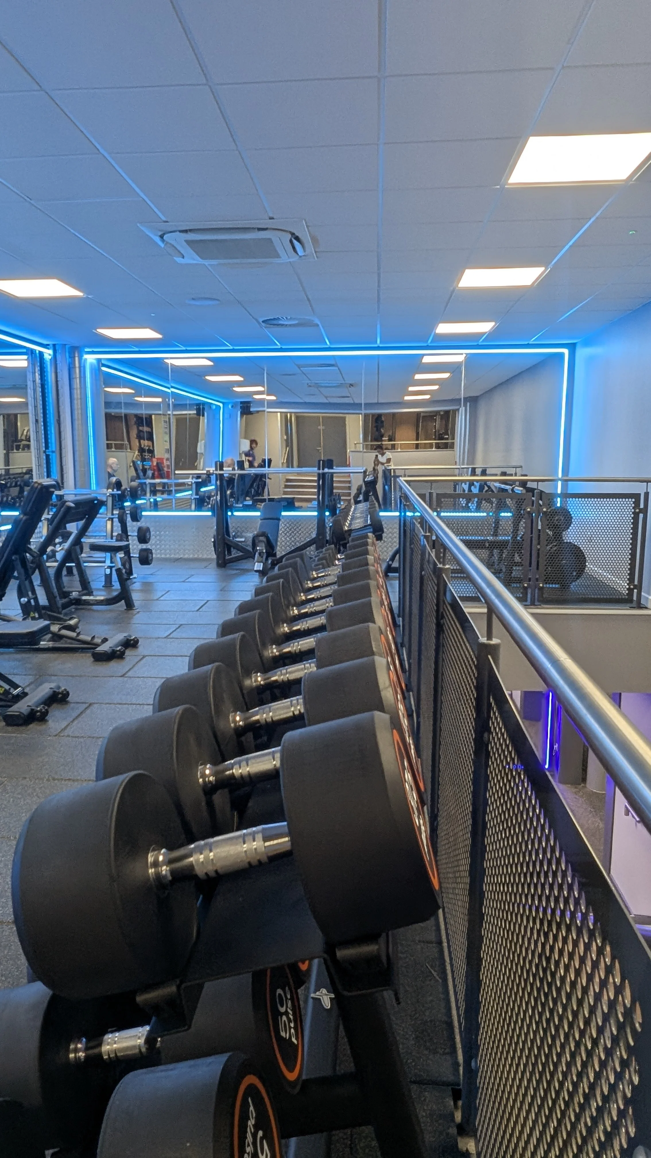Free weights area, black leather benches. Big mirror, blue LED lights.
