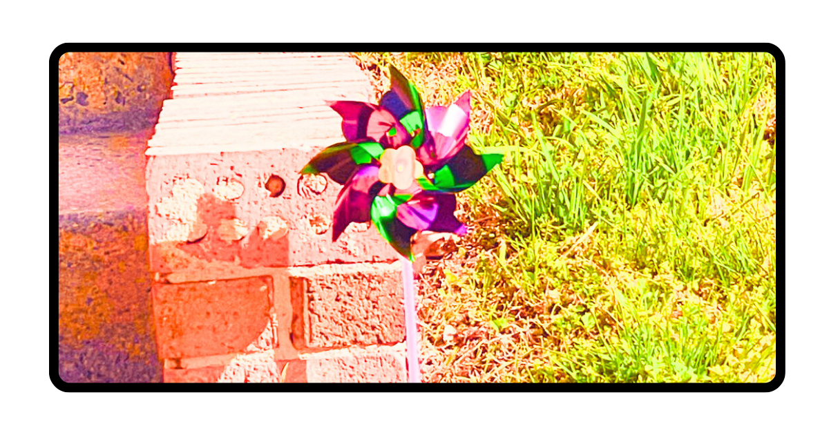 Why We Plant Pinwheels