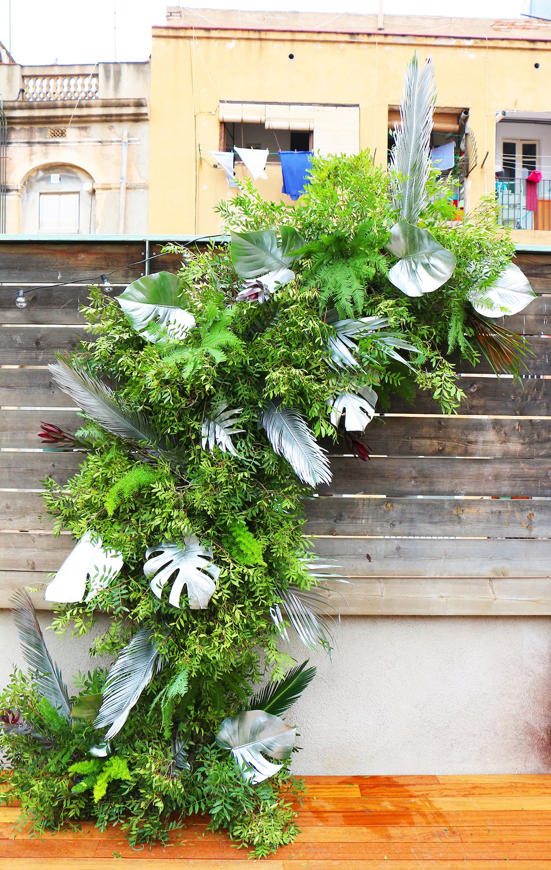 Impressive foliage structure mixing silver leaves