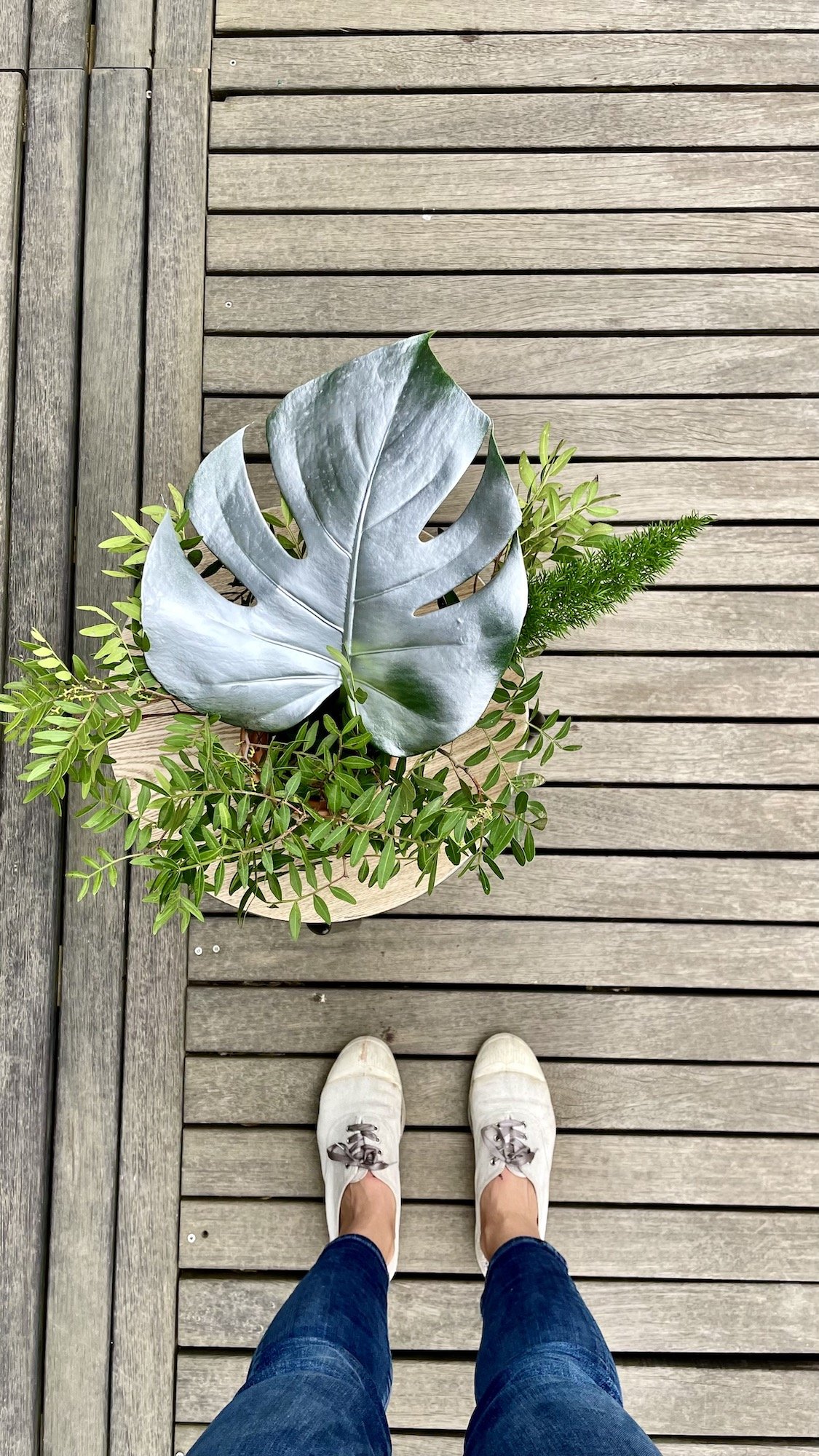 Silver leaves as part of the jungle bouquet