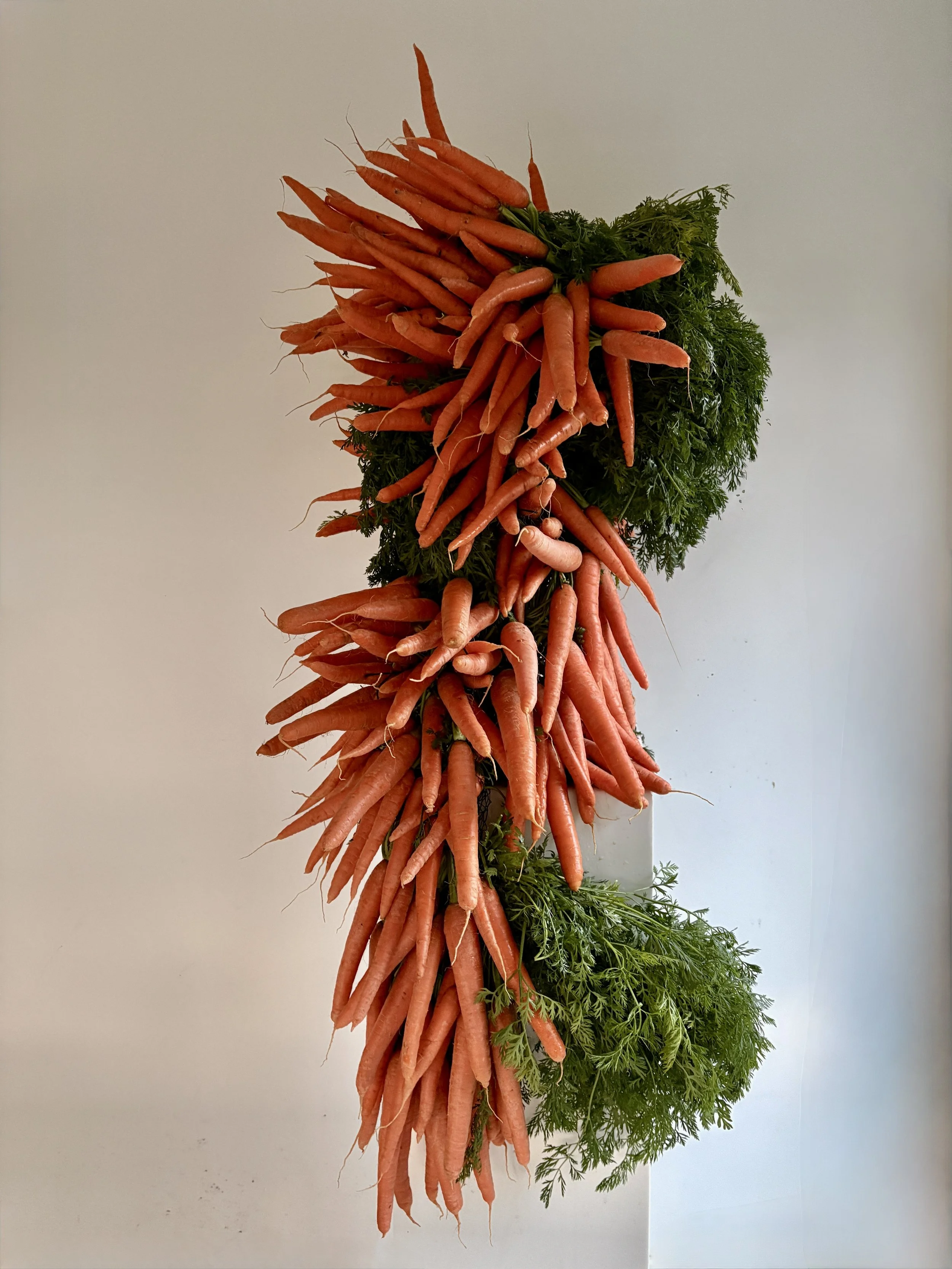 Bespoke carrot installation designed by Mosaic for Pranarôm, combining abundant fresh carrots with delicate green foliage to create an unexpected and highly visual centerpiece for the brand event