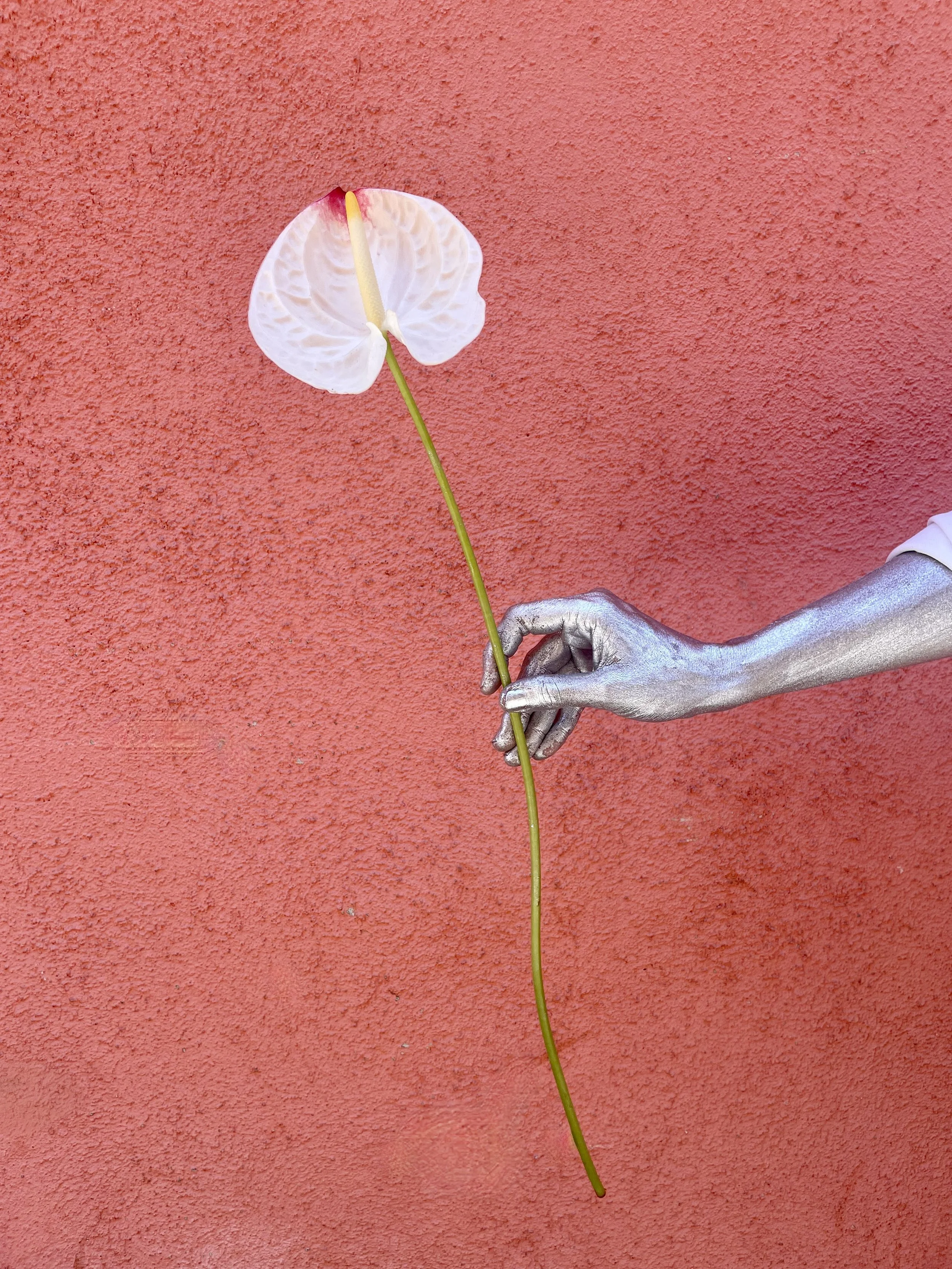 Silver-painted hand holding a white anthurium flower, part of Mosaic’s artistic photo series in Barcelona