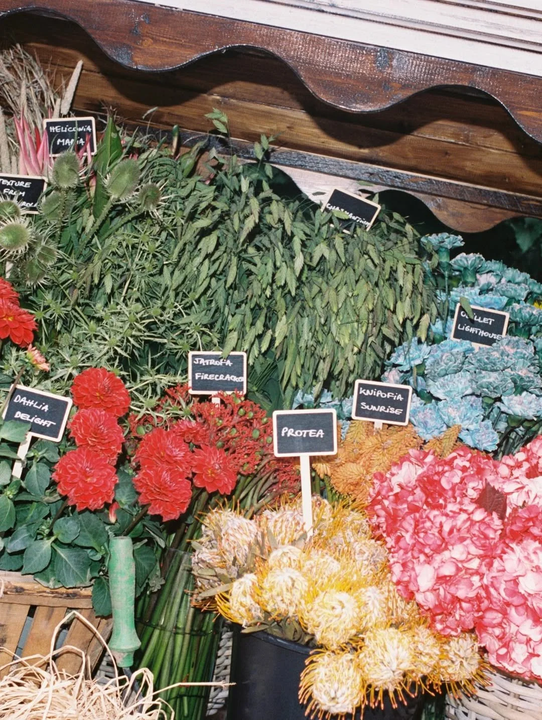 Close-up of the flower market featuring premium seasonal blooms displayed for the La Veste × Ivine Paris luxury brand collaboration in Barcelona