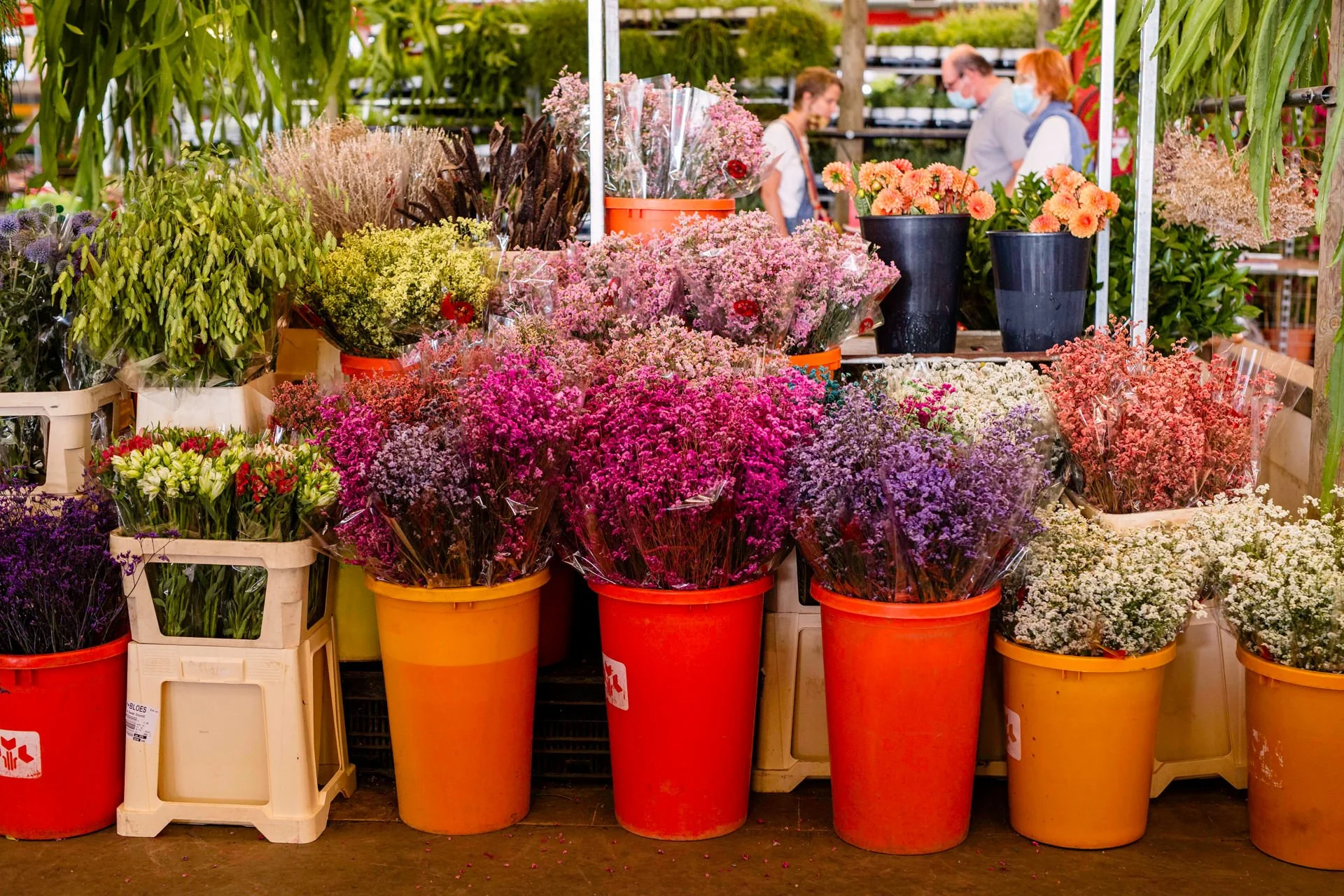 Seasonal flowers at the local Barcelona flower market, selected by Mosaic Flowers for luxury floral design and international events