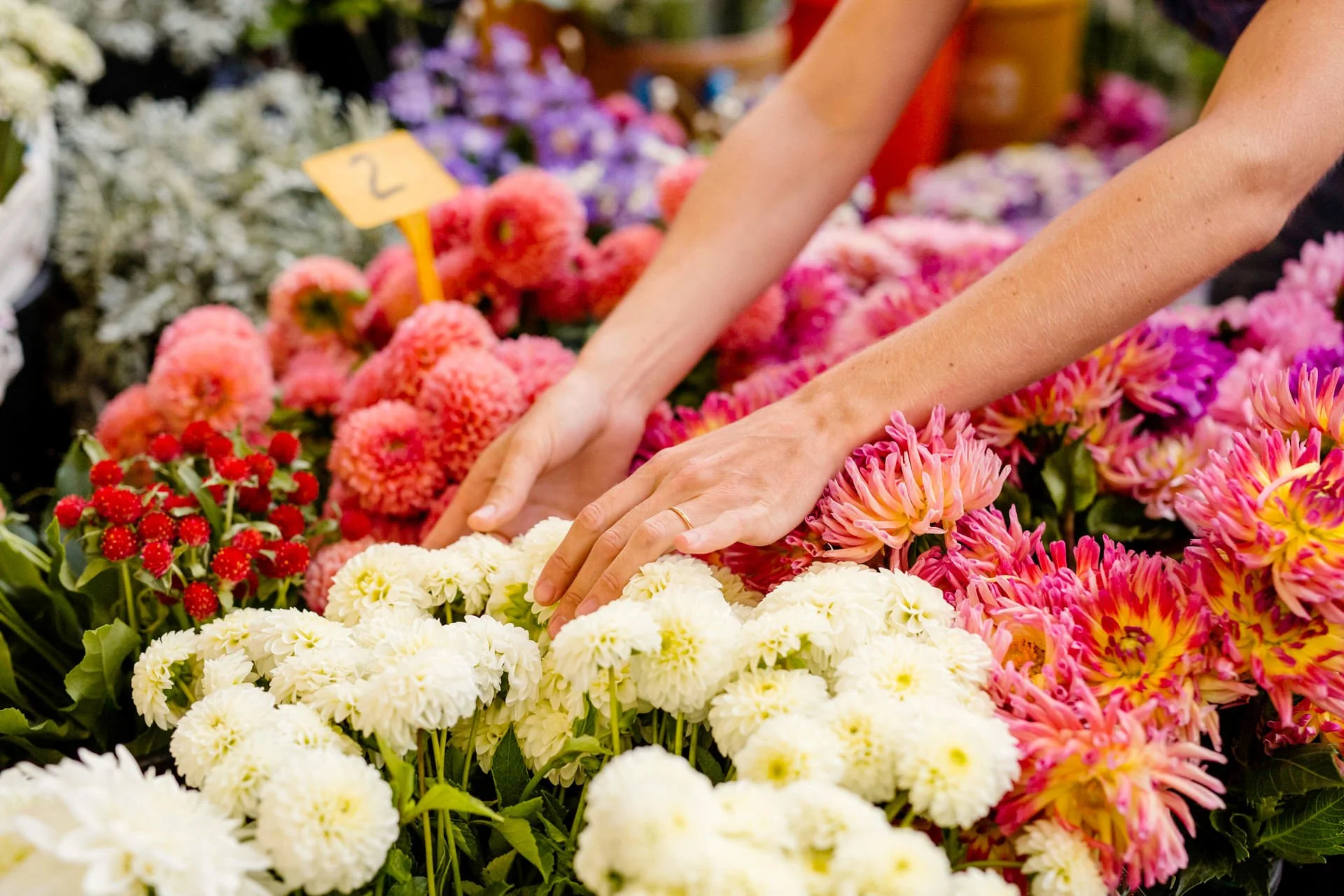 Selecting seasonal flowers at the local Barcelona market, Mosaic Flowers sourcing blooms for destination events and luxury design