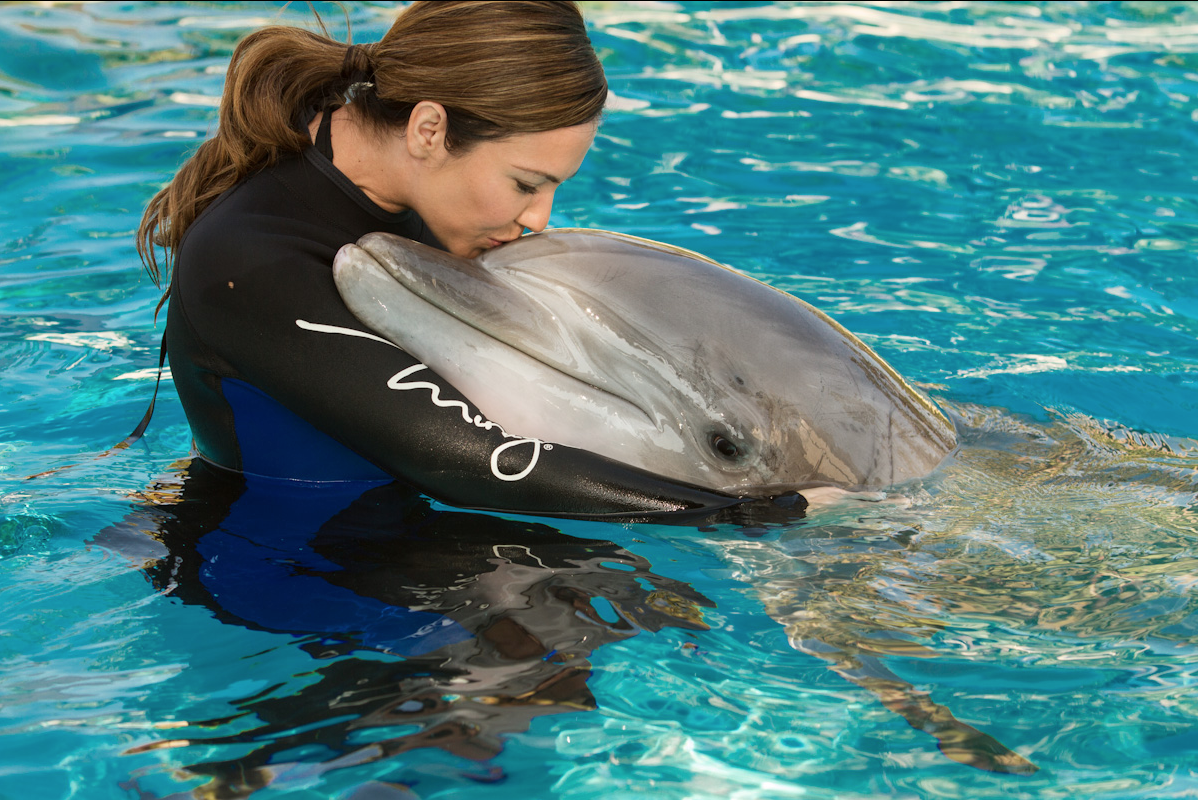 Screen Shot 2013-05-07 at 7.18.00 PM.png