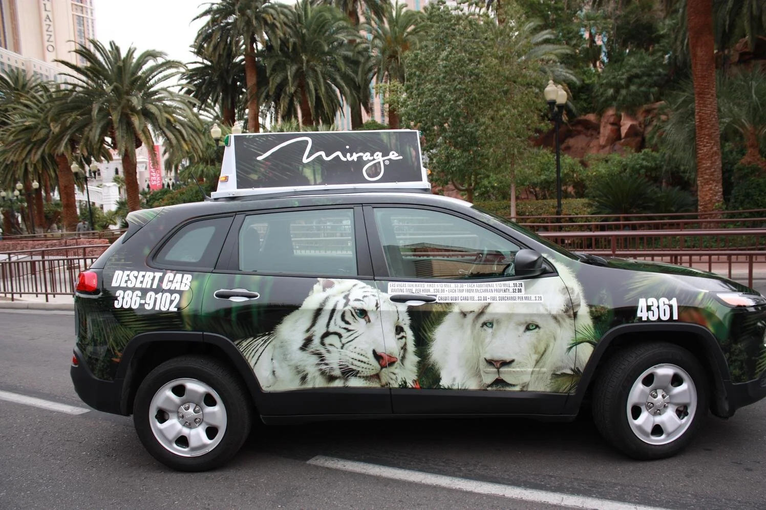 SGDH Tiger Wrap 3.7.14 5.jpg