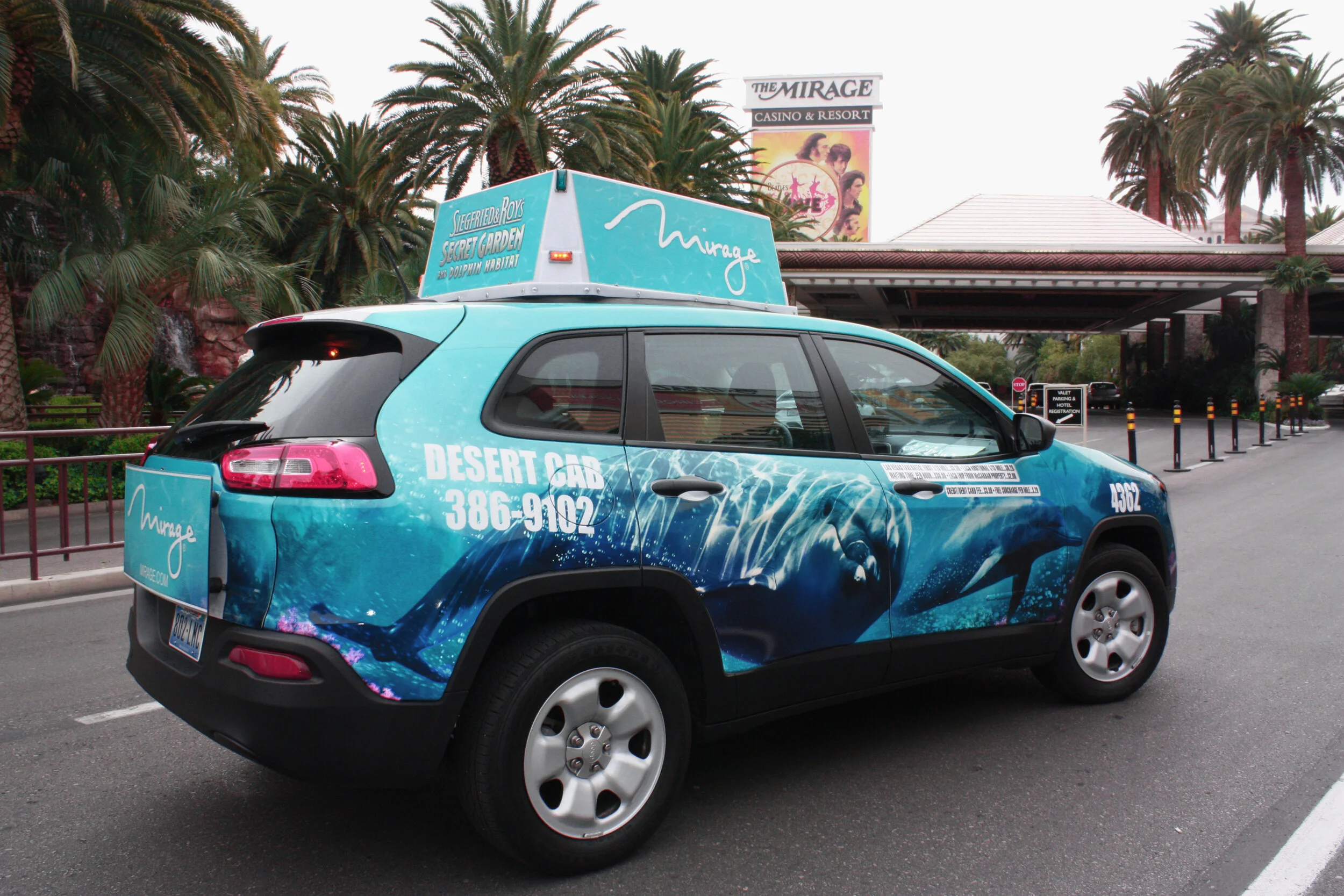 SGDH Dolphin Wrap 3.7.14 5.jpg