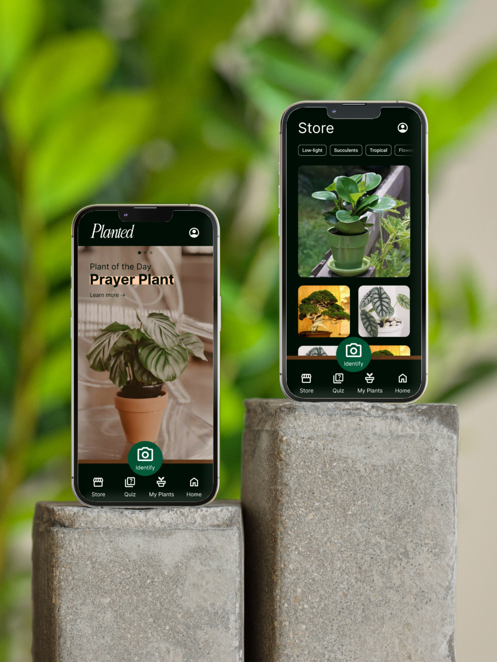 Planted UX Design