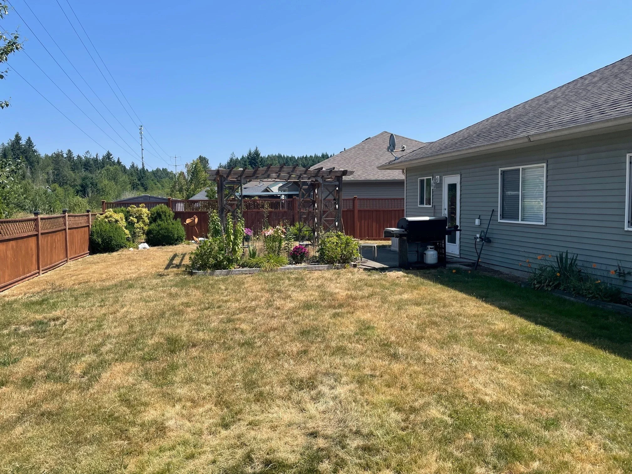 Backyard 2.jpg