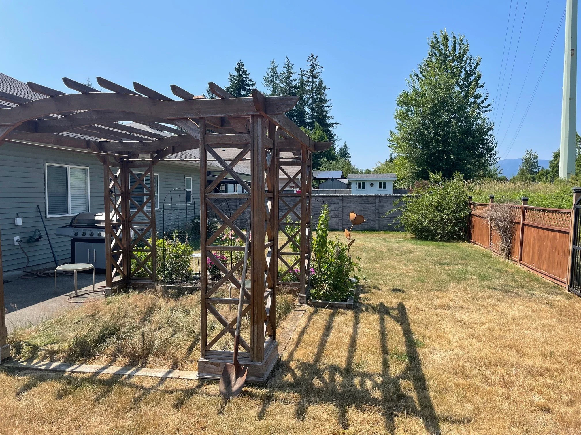 Backyard 1.jpg