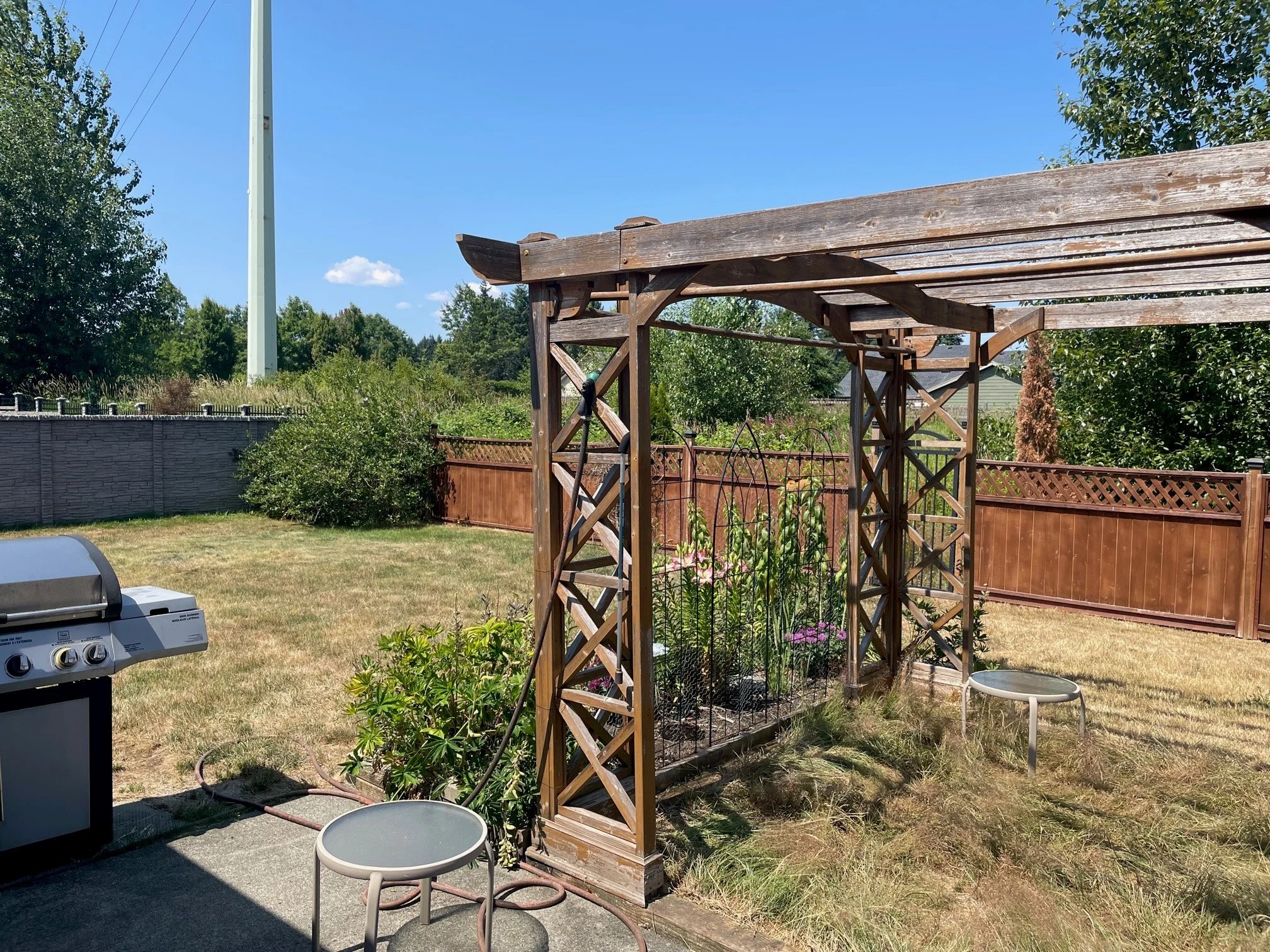 Backyard.jpg