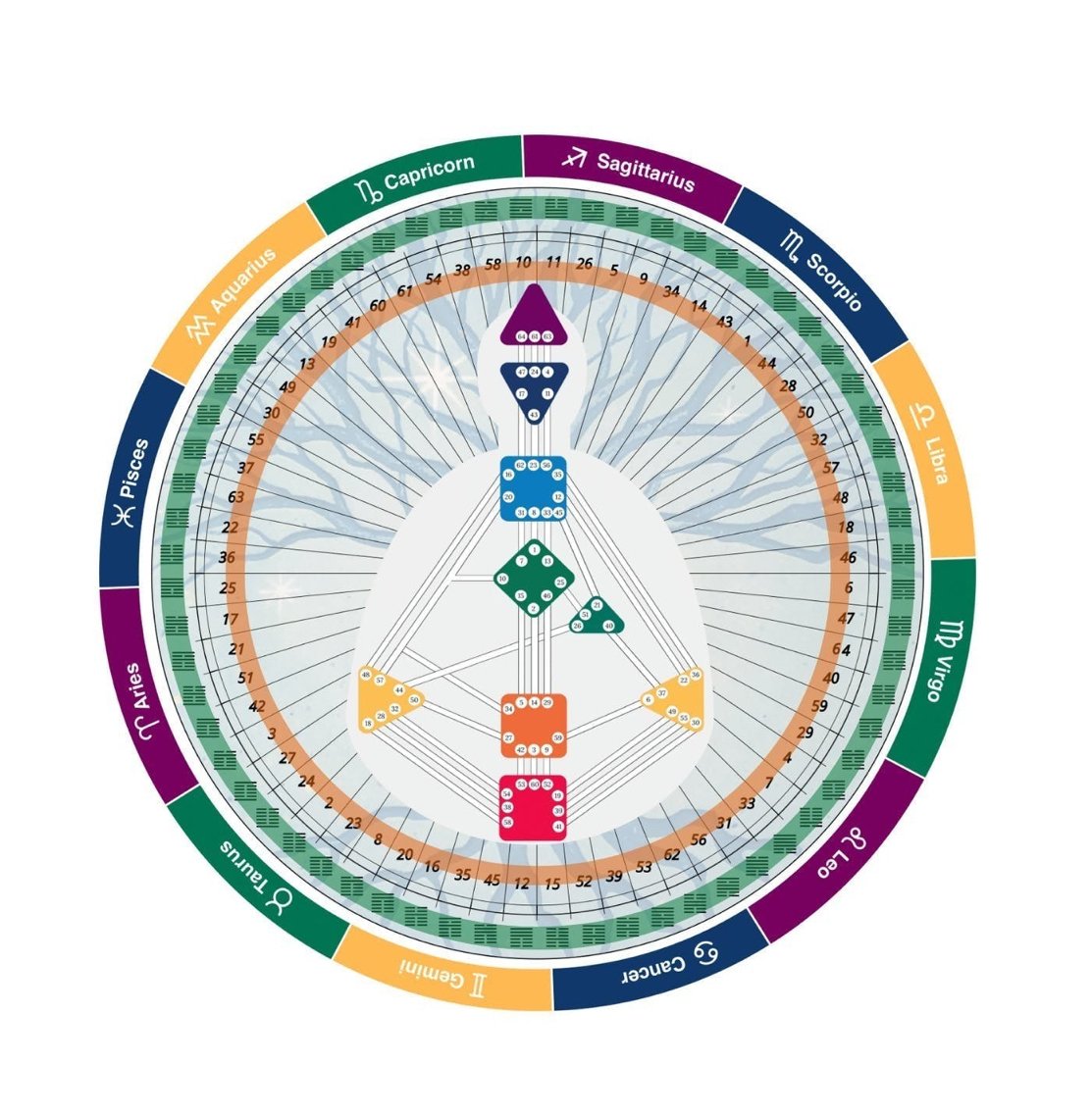 Human Design Gift Certificate for Birch Kaufman