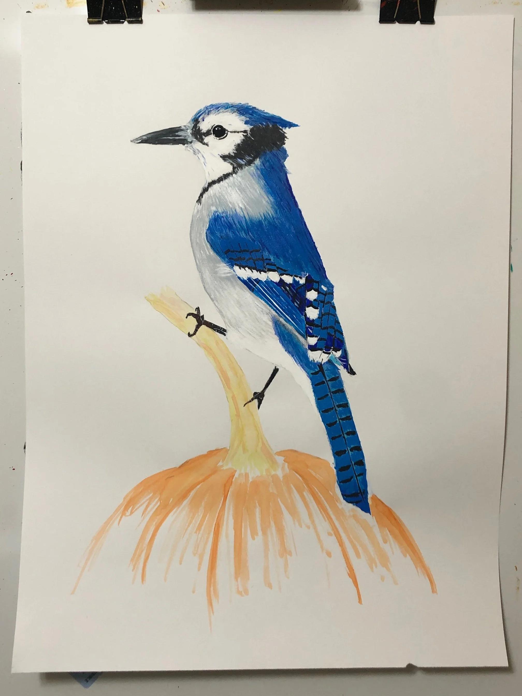 Blue Jay on Pumpkin (2022)
Acrylic and Watercolor on Paper
18x24 
$200 Framed