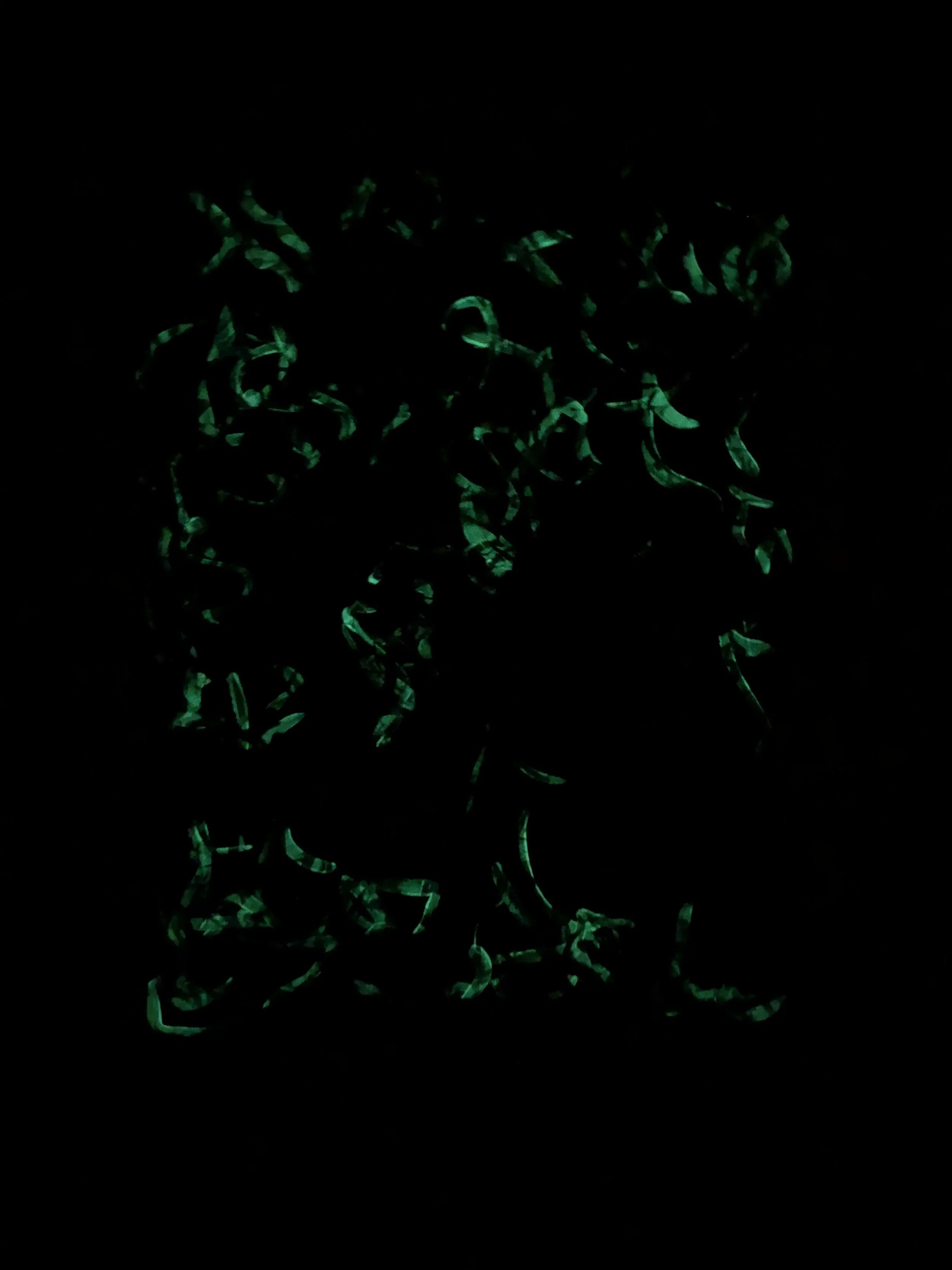 7/20/21

With lights off