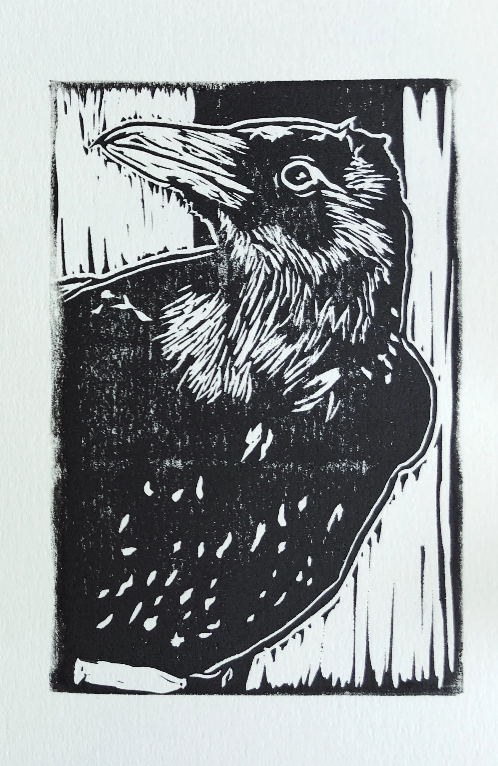 Crow (2025) Linocut 4x6 1 of 1 