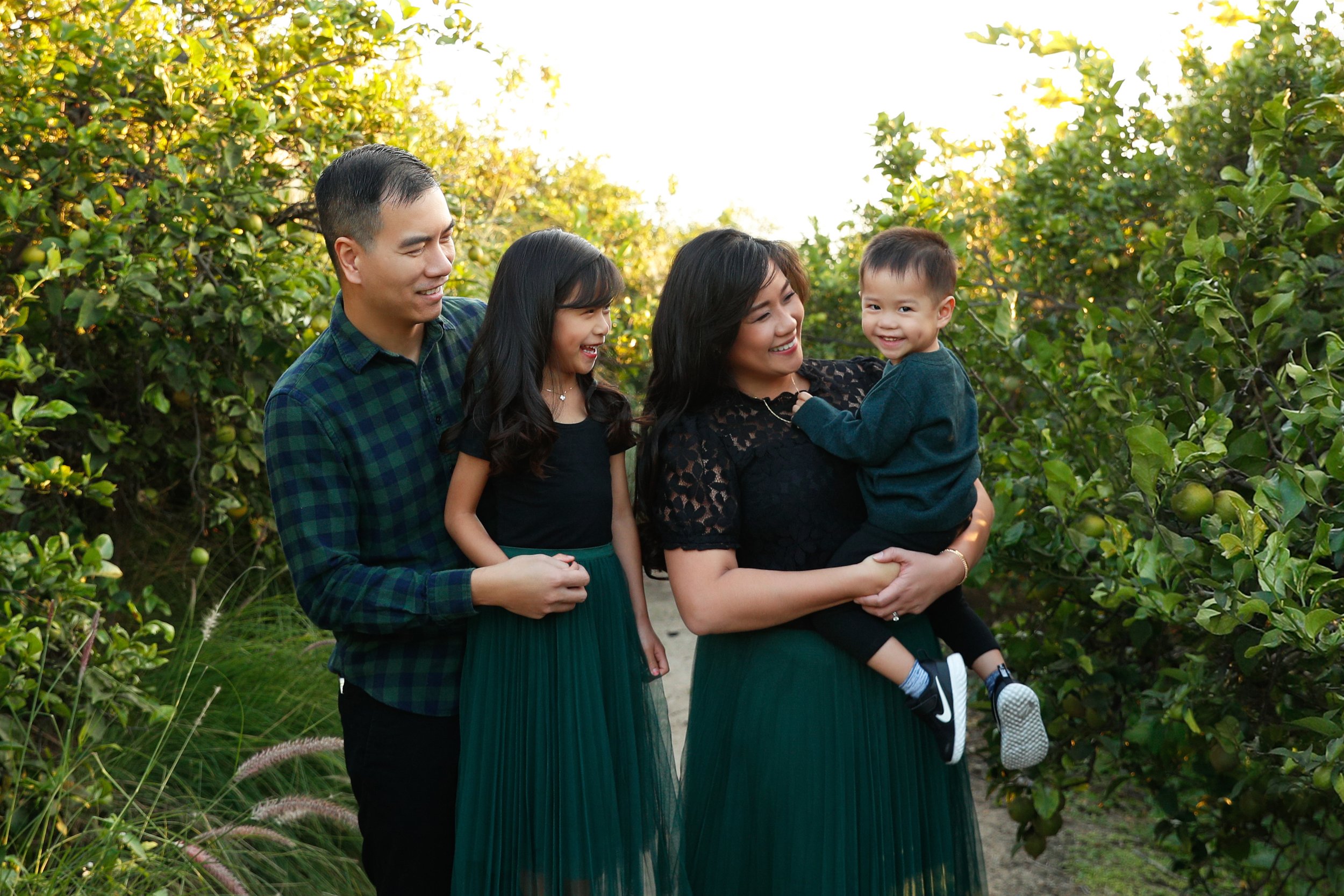 Tustin Orchard: Digital Package