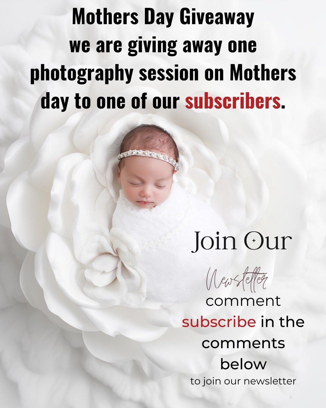 Are you a photography newsletter subscriber? I am picking a winner Sunday from my list to win a photography session at my studio! Comment subscribe below and then check your DM for a link to my newsletter. You need to be in it to win it! (winner of p