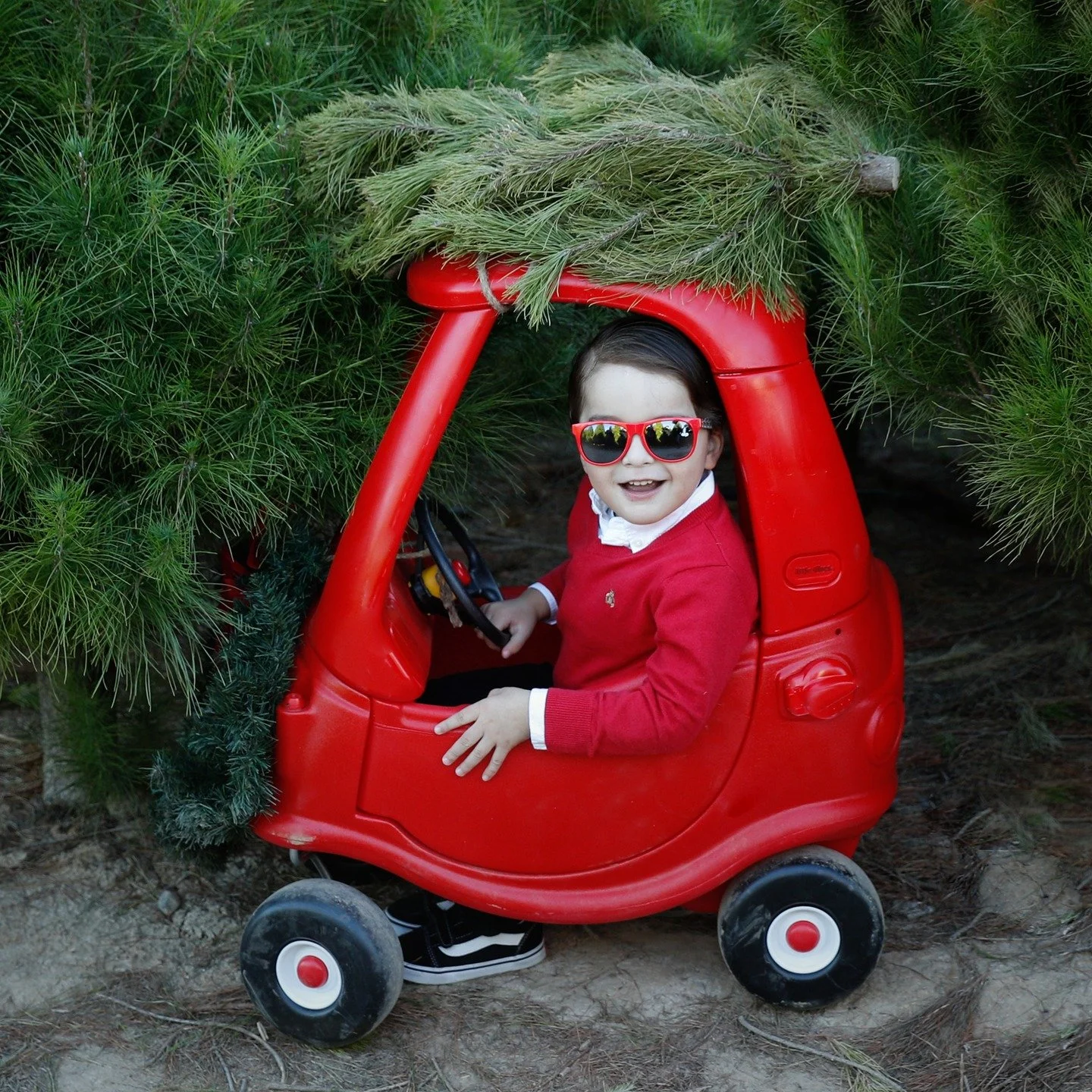 Almost time to get the cars out of the garage...did you book your holiday mini? www.anabrandt.com
