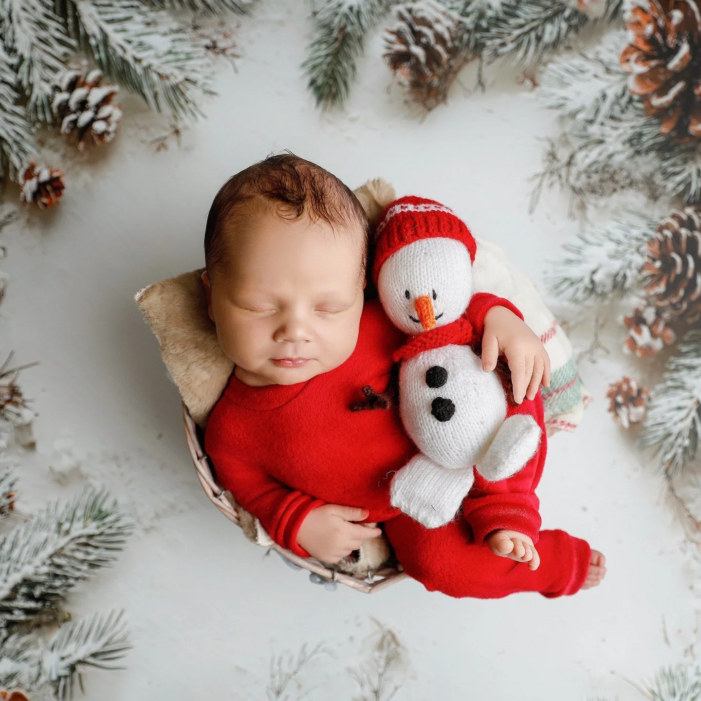 This gorgeous baby photographed in South Africa. I just came back from the most amazing trip. I loved it so much I am going back in the Spring to teach AI and then have some holiday / vacation time. (here we call it vacation, there they call it holid