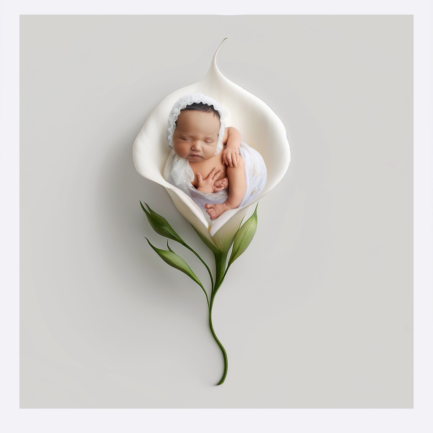 Just a few days new and already stealing hearts 🤍

There is something so magical about photographing a baby in those first days of life &mdash; the tiny fingers, soft breaths, and peaceful little expressions that change far too quickly.

This sweet 