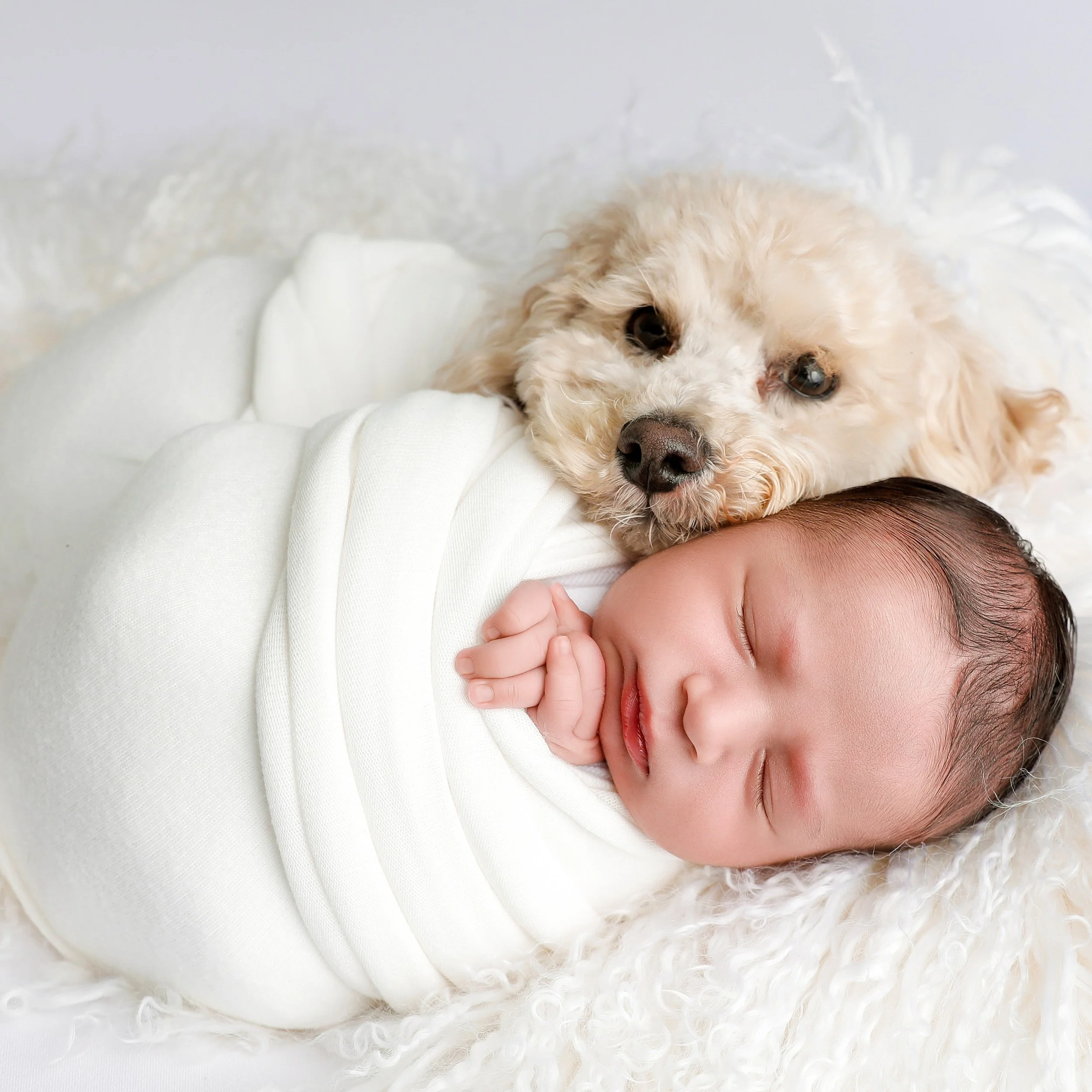 I had to post the photos since everyone loved the video here they are. Please know my job as a baby photographer is to keep everyone safe. No one was harmed or in distress at any time. The parents are close by watching and the dog and baby did fall a