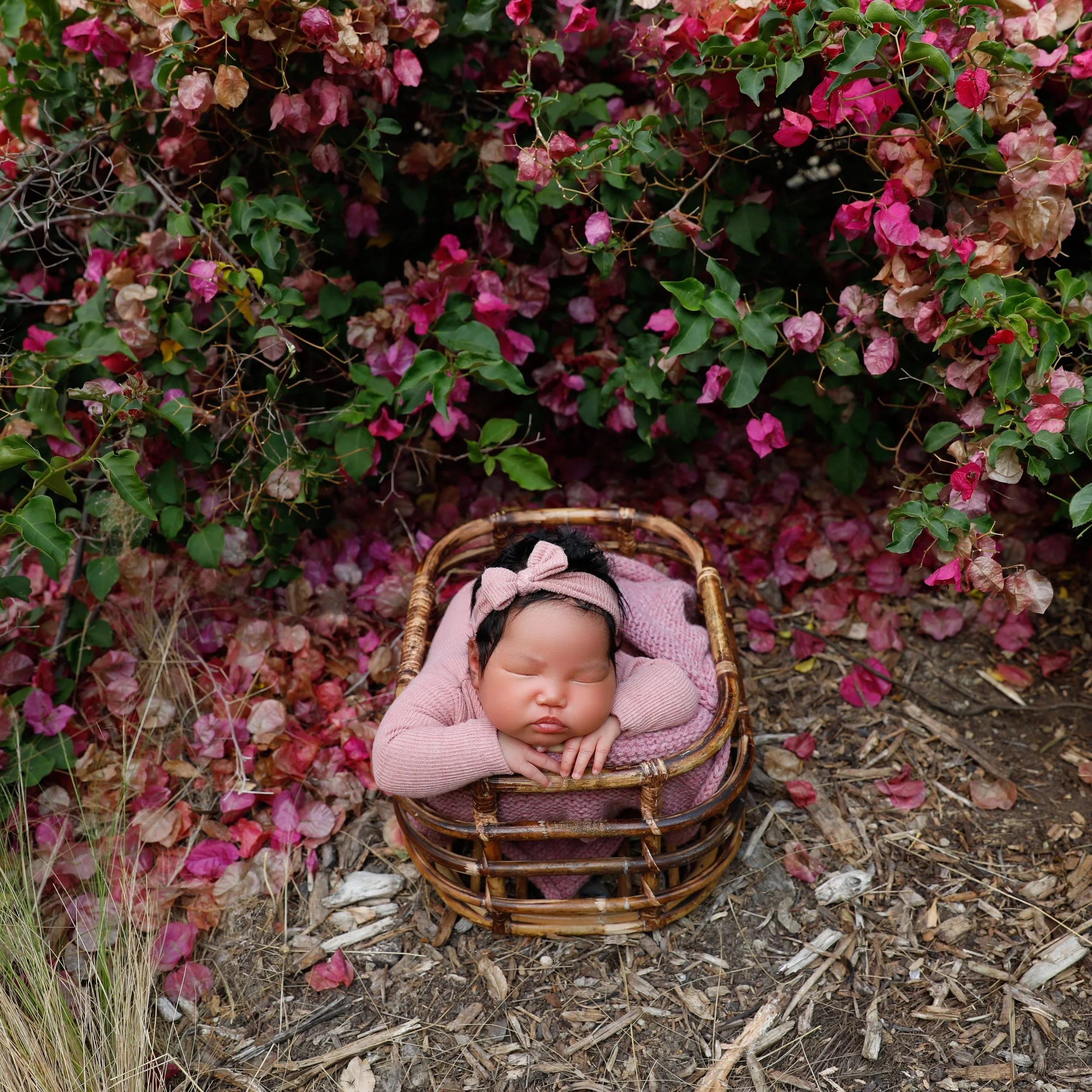 I love newborns outside! I used to do this all the time and then for some reason I stopped. But they are back. I just adore babies and warm weather is my jam. If you are wanting an outdoor newborn session this summer or Fall now is the time to book i