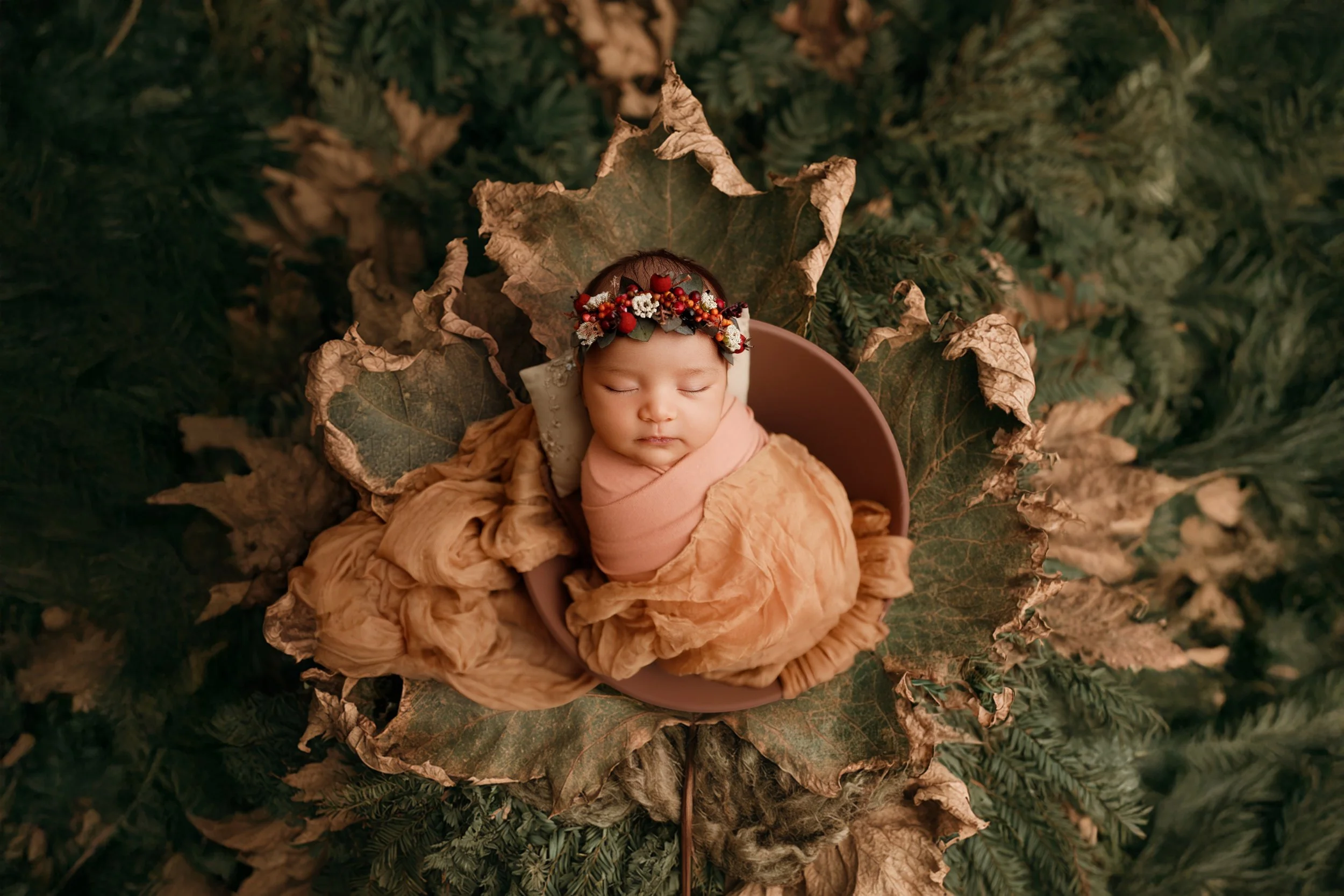 🍁🍁🍁