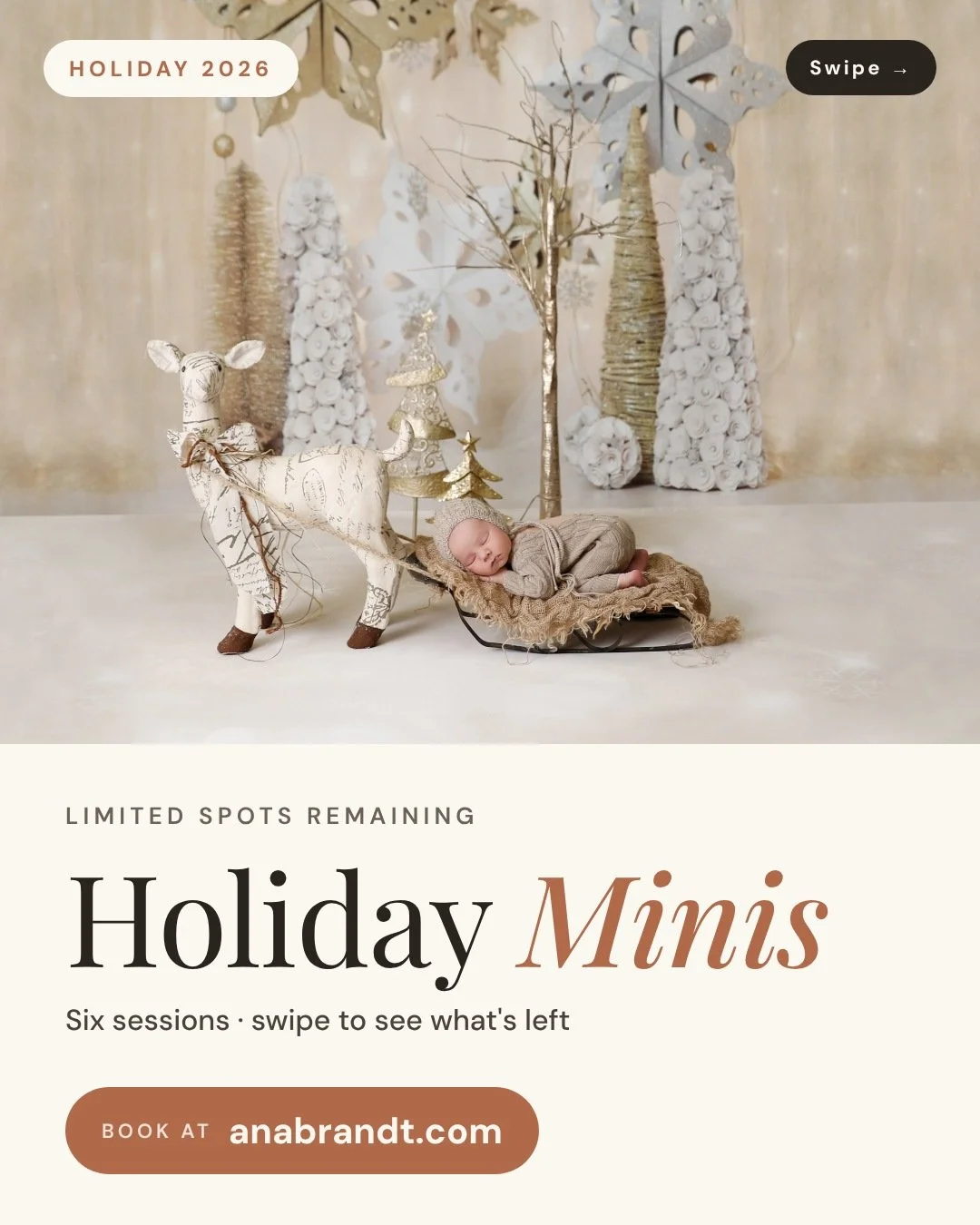 Holiday Minis are almost full, so don&rsquo;t wait 🎄

Here&rsquo;s what&rsquo;s left for 2026:

Santa Minis: 1 spot
Tree Farm Minis: 1 spot
Beach Minis: 3 spots
Field Minis (Peters Canyon, Nov 28 &amp; 29): 5 spots
Central Park Minis (NYC, Nov 27): 