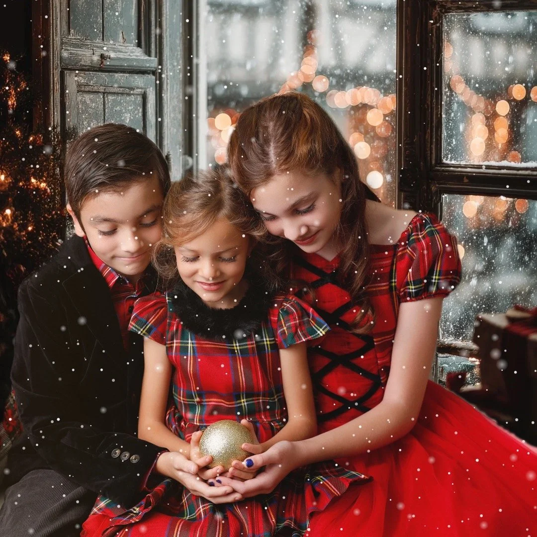 Please do not wait until the last minute to book your holiday mini....www.anabrandt.com