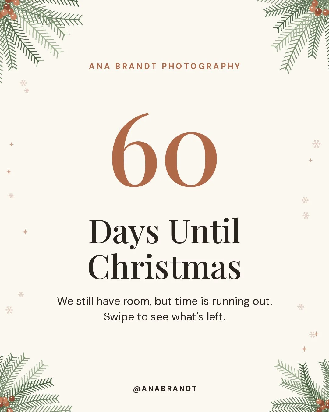60 days until Christmas 🎄

We still have room, but time is running out, especially for location sessions.

What&rsquo;s left:

Santa Sessions: 1 spot
Field Day: 4 spots
Beach Sessions: 10/29 &amp; 12/12 (email for other dates)
Holiday Toy &amp; Food