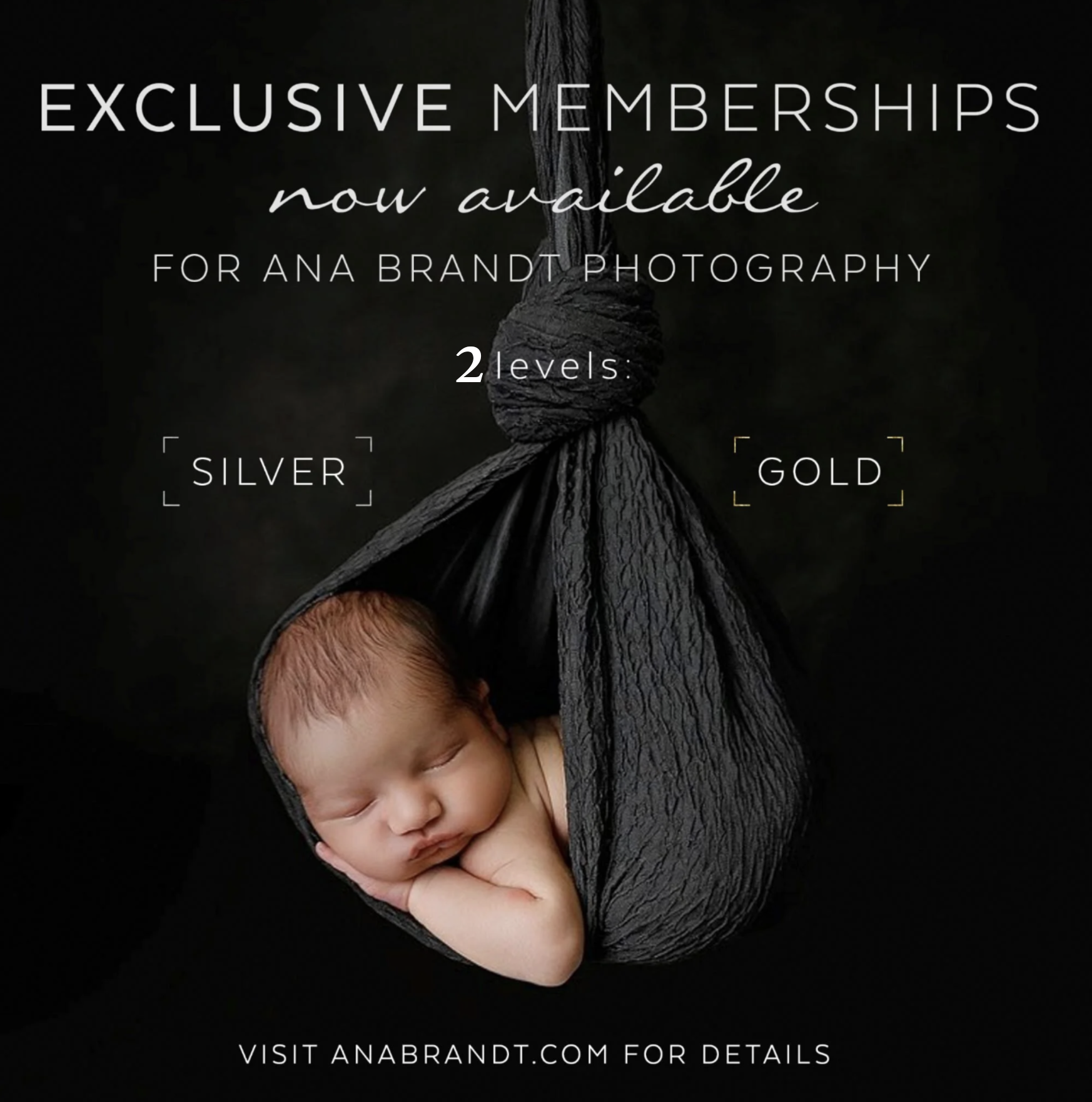 Silver Membership