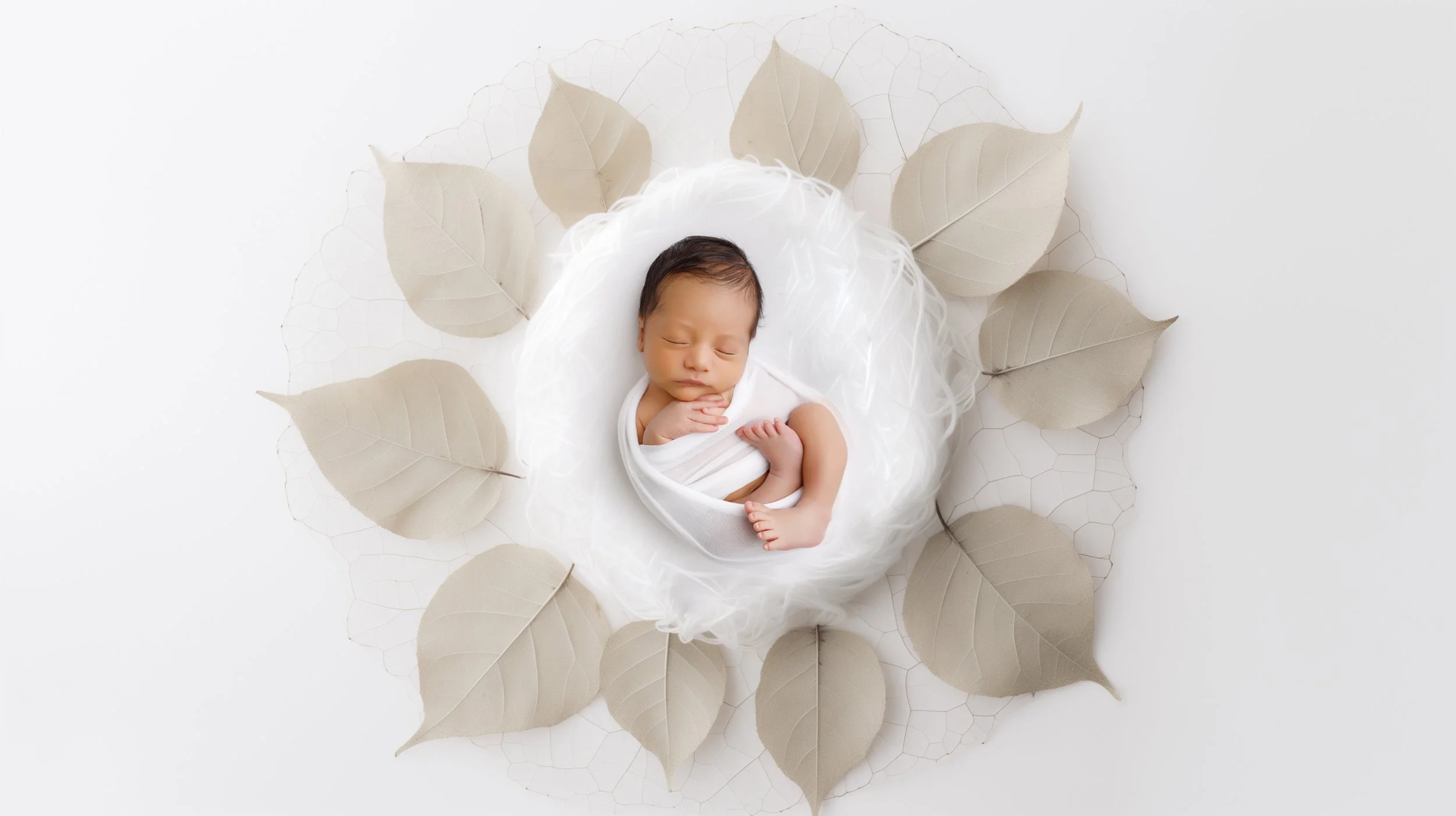 finalsanabrandt_top_down_view_of_white_leaf_in_white_studio_as_newbor_73e7d6db-1cc2-4cc9-81b4-e10755009fb7 copy.jpg