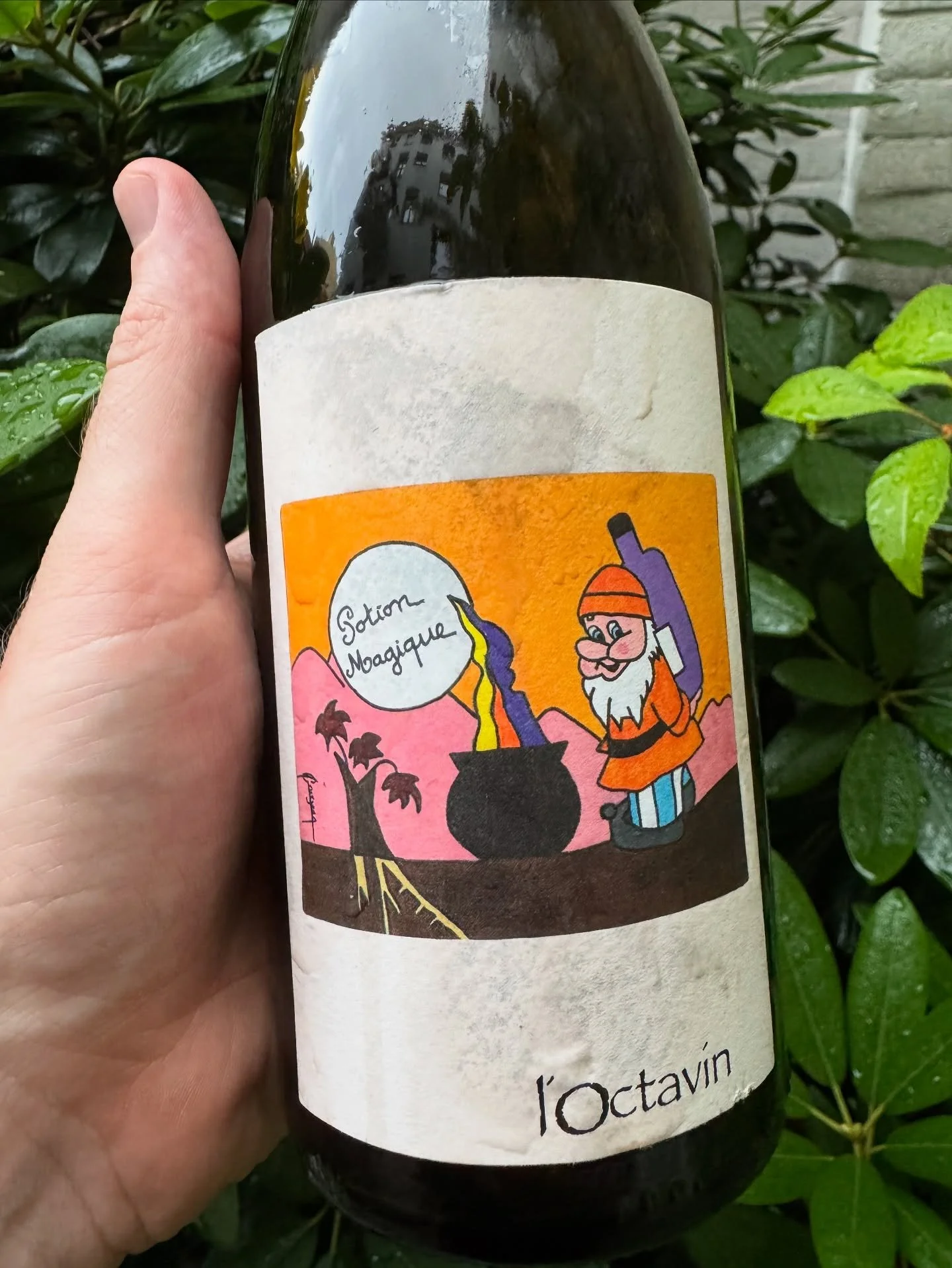 Huge energy and dynamite freshness is what comes to mind when tasting POTION MAGIQUE. 
A blend of Poulsard, Chardonnay and Savagnin picked from La Mailloche on the 5th of September. Being the first grapes Alice picked in Jura, they were then destemme