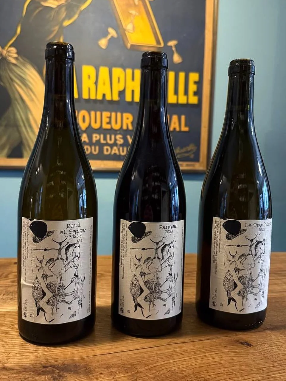 Morgane Turlier
La Chapelle-sur-Furieuse, northern Jura, France

Morgane is a pure-soul winemaker from the northern part of Jura, a short drive north from Arbois.
Morgane is stimulated by human, animal and vegetal energies. Combined with her spirit a