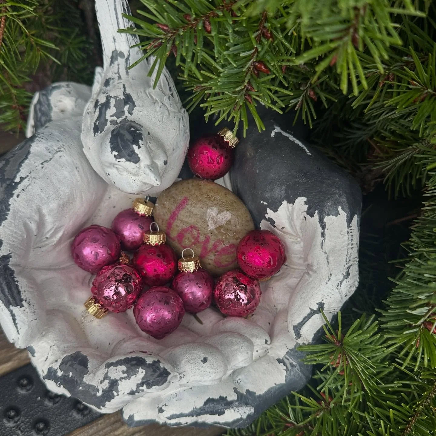 Merry Christmas from my porch to yours. 💕🎄🕊️