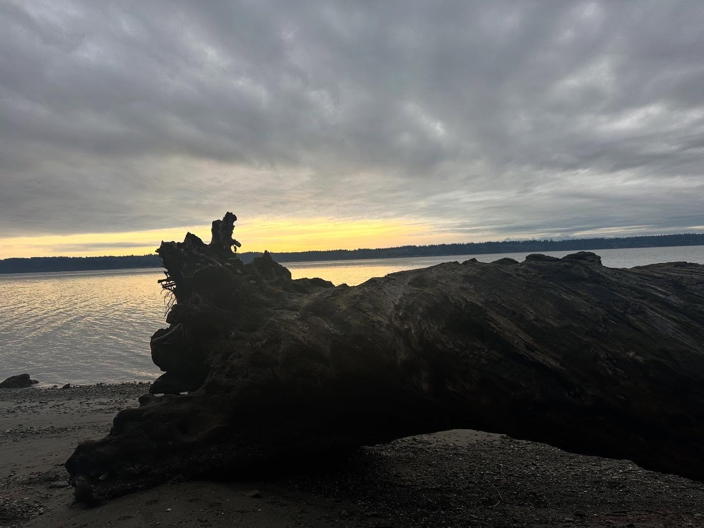 End of the year feeling, a little bit light, a little bit dark. Fresh air felt so good today. I&rsquo;m ready for the transitional week ahead. Are you? 🖤💛~Janae

The Self Care Passport
A Healing Space for the Body, Mind &amp; Soul
www.janaefletcher