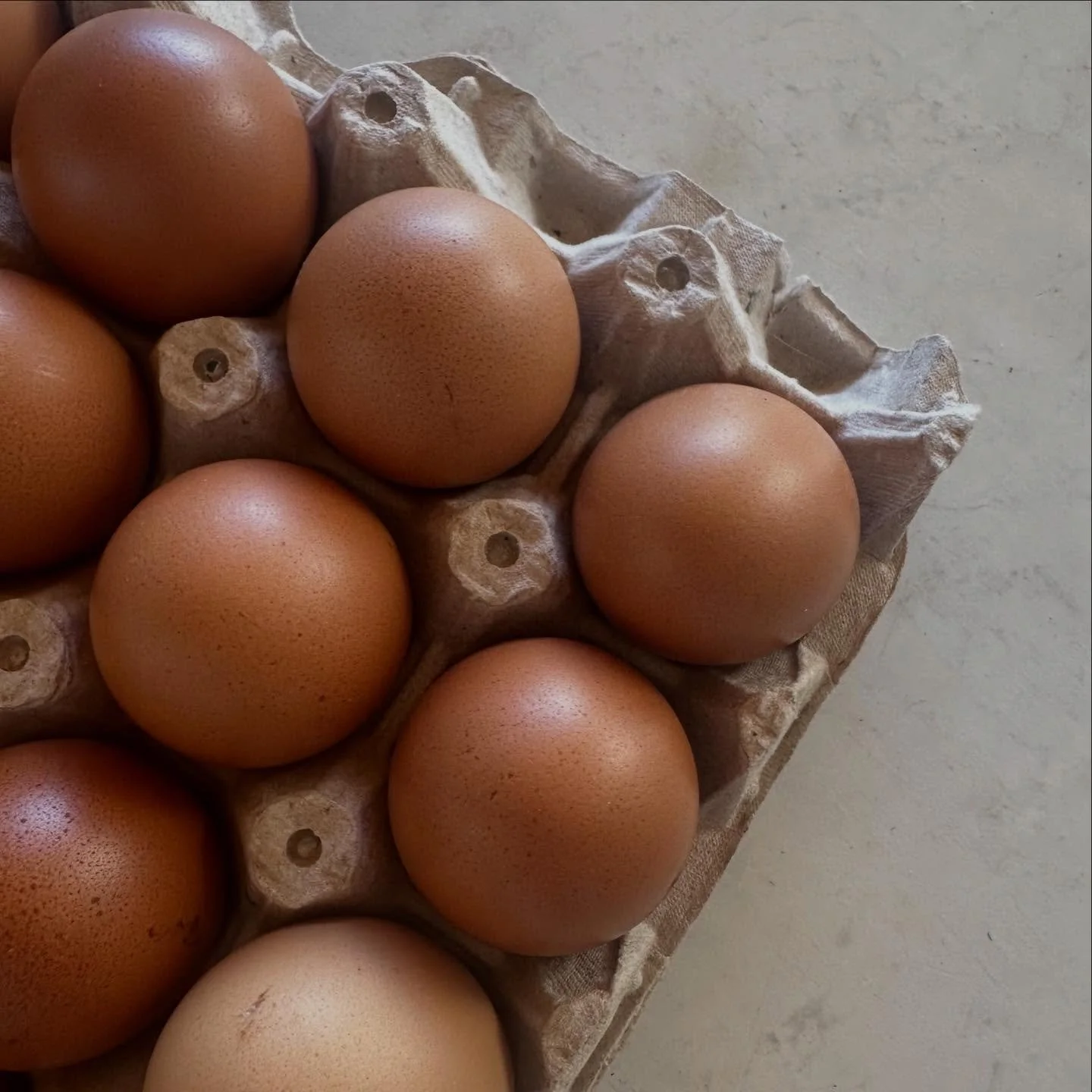 A farm fresh good morning yo you.