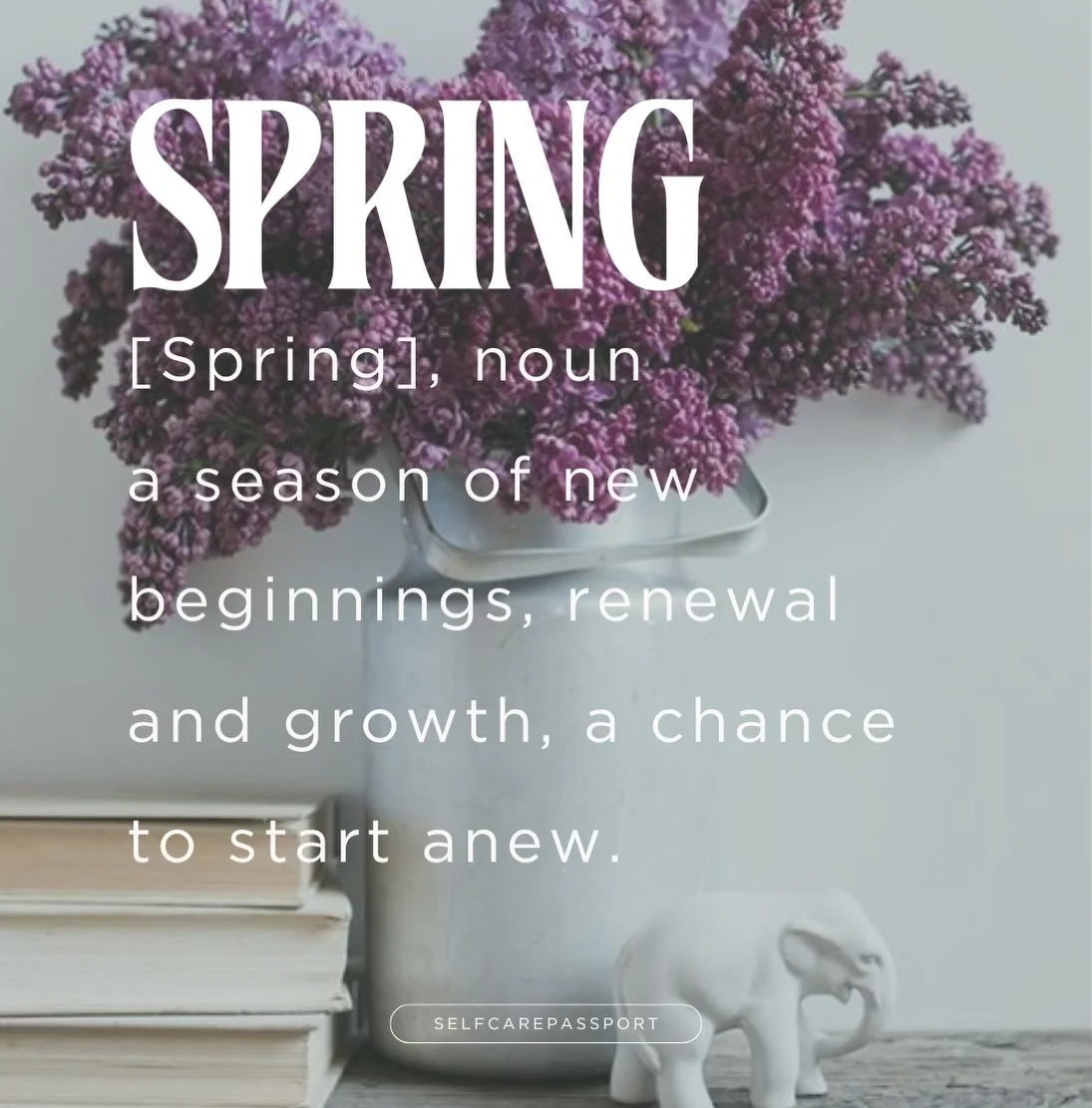 I&rsquo;m so ready for a new season. ✨🌷✨