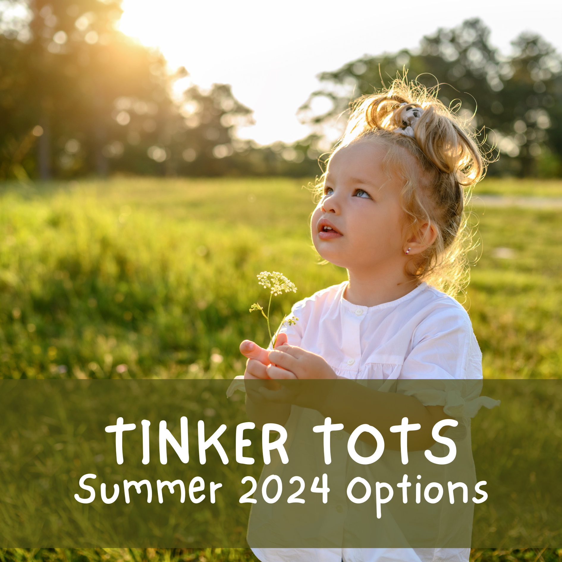 Summer 2024 tinker tots.png