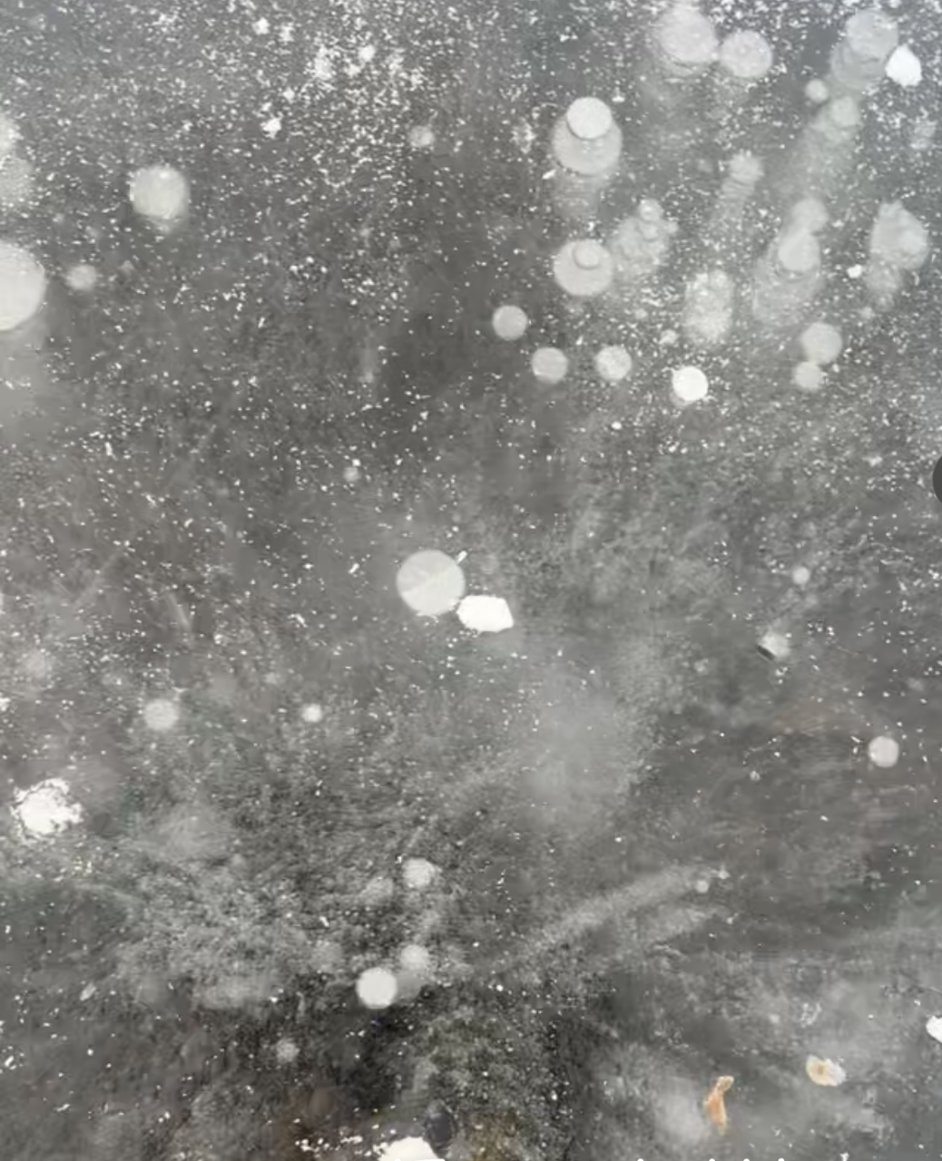 Screenshot 2024-12-29 at 11.46.40 AM.jpeg