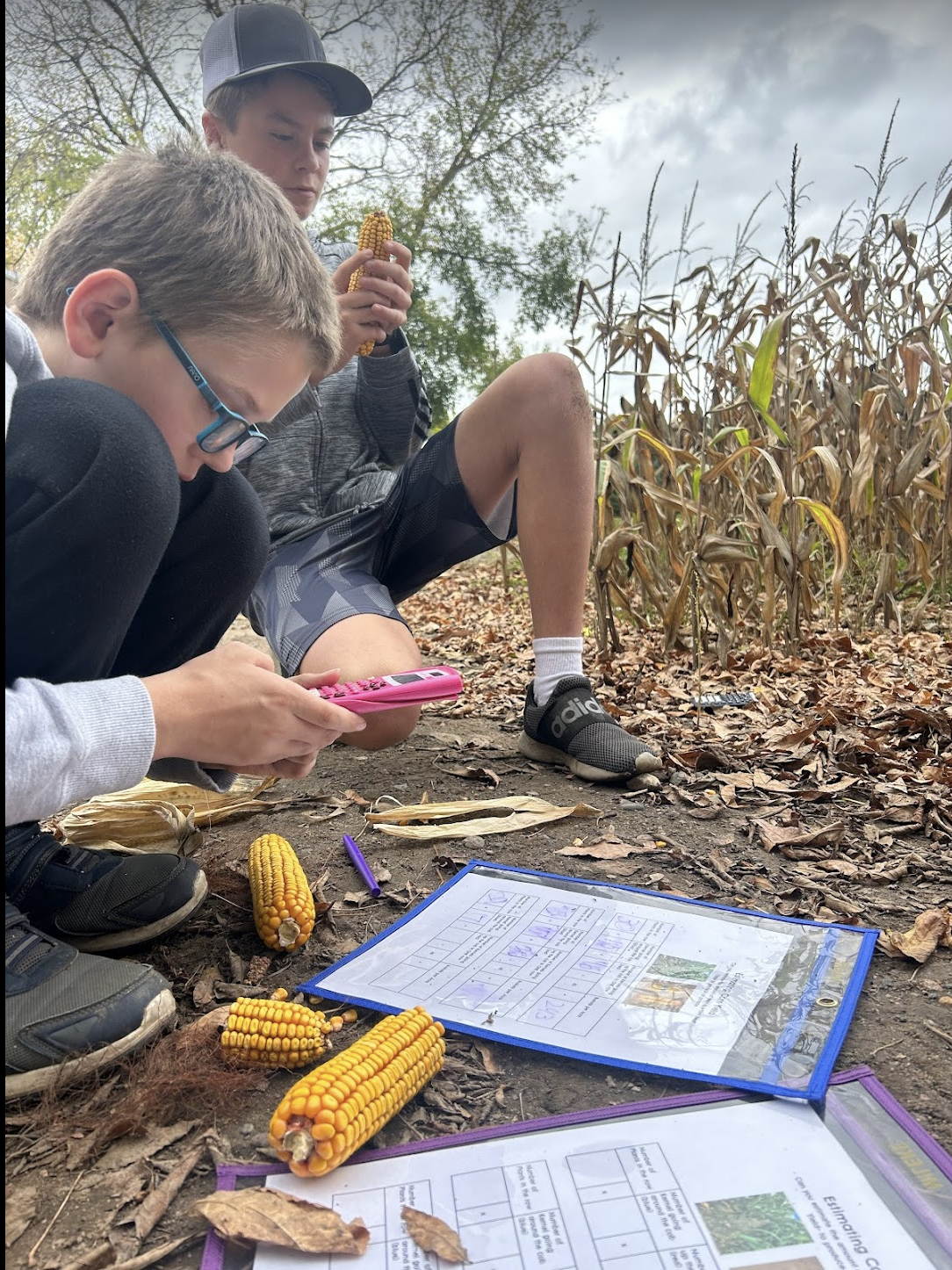 Fostering Critical and Creative Thinkers Through Science Education