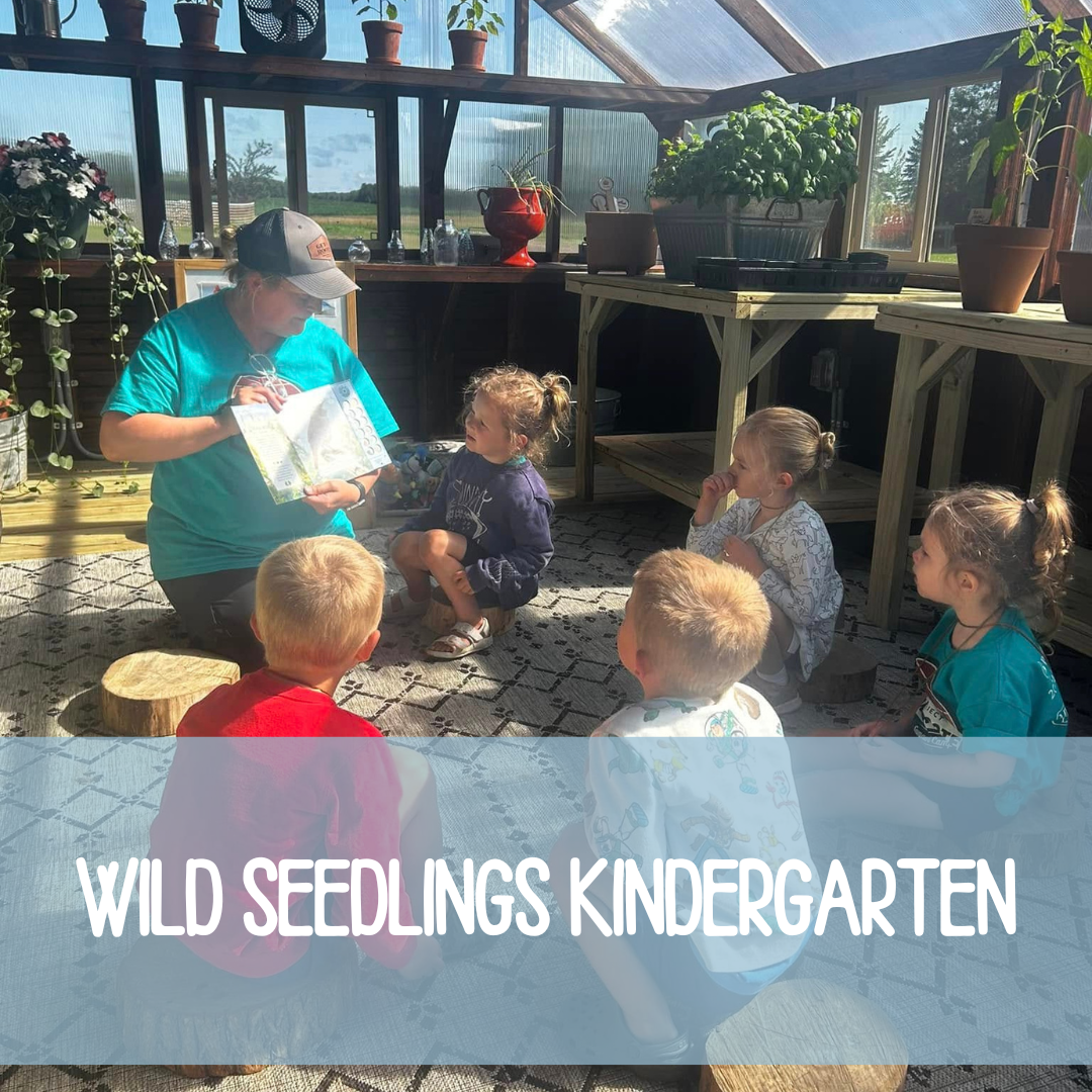 Wild Seedlings Payment 2025-2026
