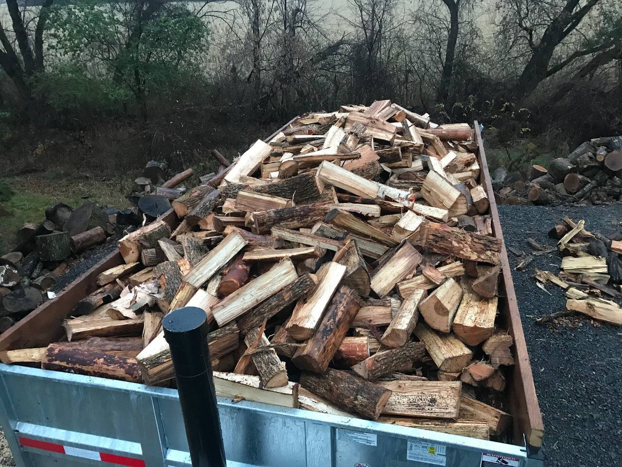 A metal trailer filled with chopped firewood stacked on top of each other, with some logs and cut wood scattered on the ground around it, set outdoors near trees.