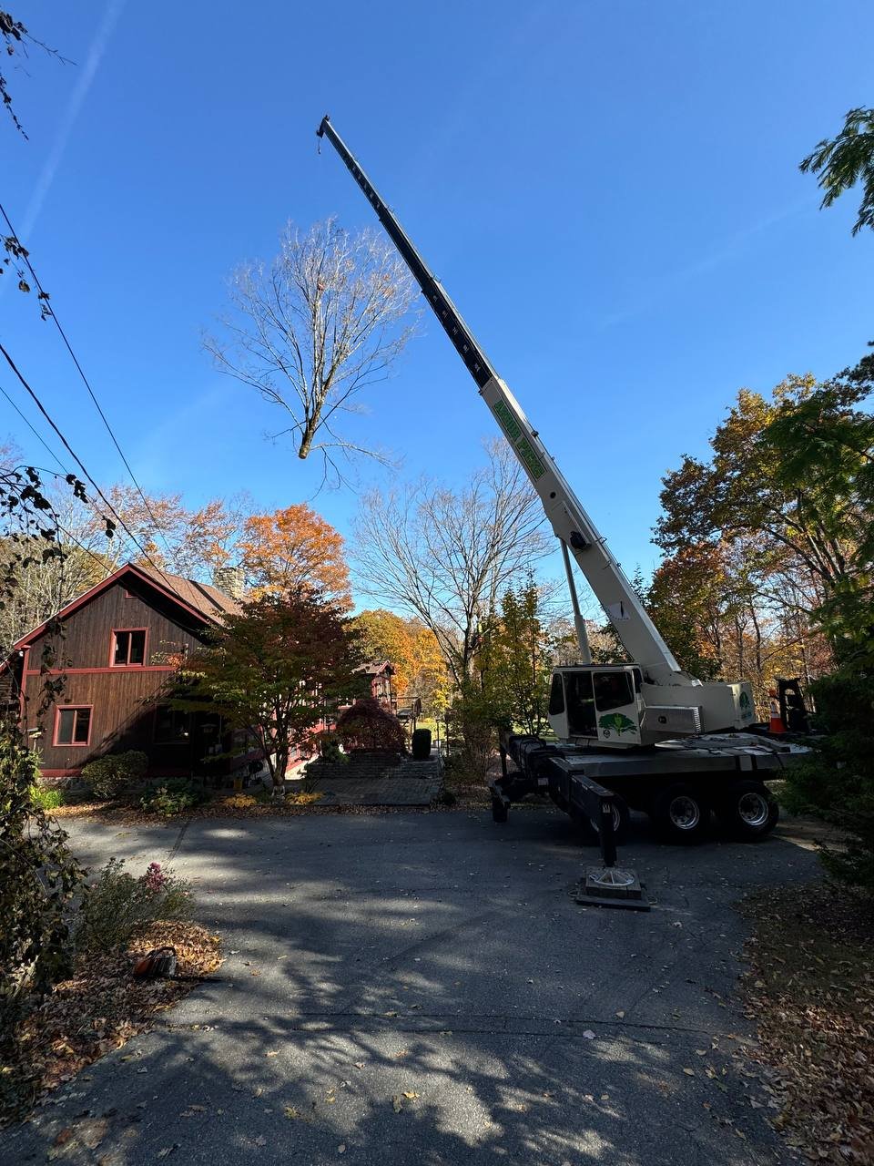 A crane in a residential yard lifting a large tree branch into the air on a clear day with autumn foliage surrounding a brown house.