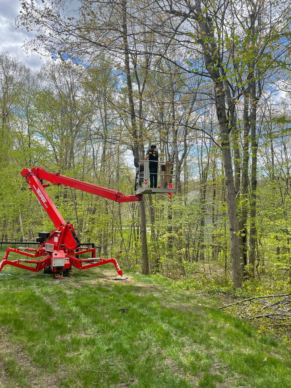 A worker stands on a cherry picker lift elevated in a wooded area, trimming or inspecting trees, with a grassy foreground and a partly cloudy sky.