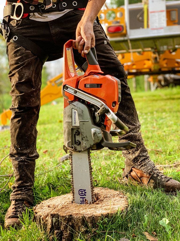 A person using a chainsaw to cut a tree stump outdoors. They are wearing black pants and brown boots, with sawdust on their clothing. In the background, there is an orange and gray utility truck.