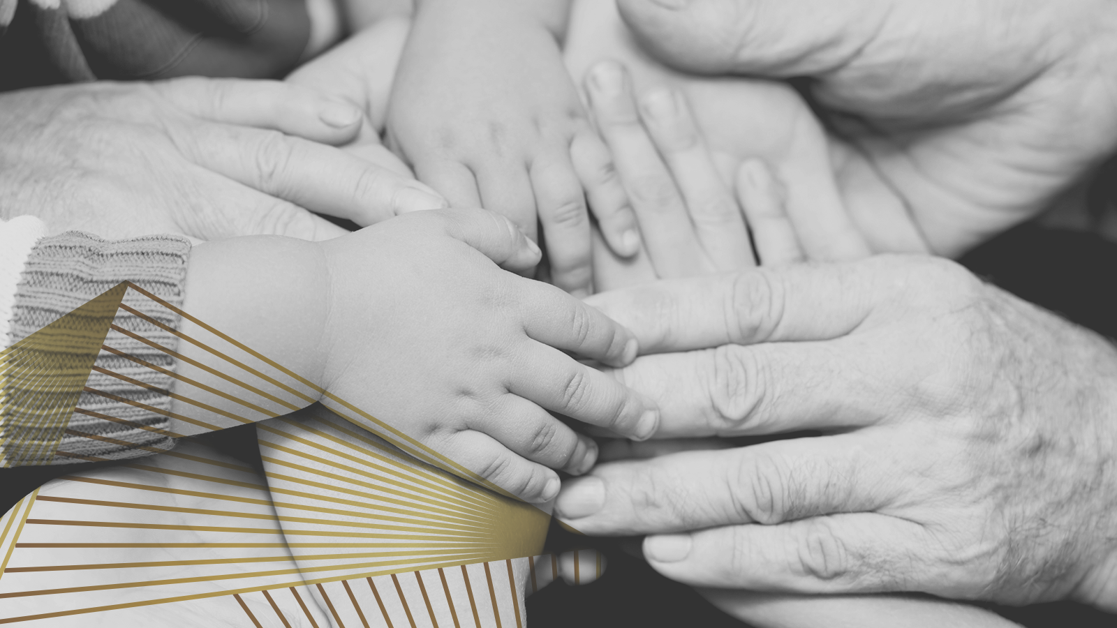 intro slider splash.png